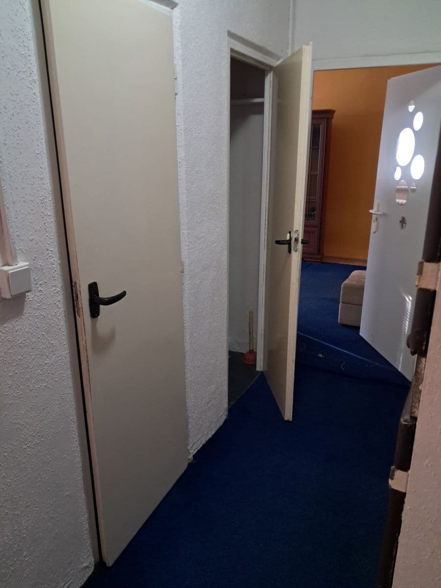Prenájom bytu 2-izbový 56 m², Vídeňská, Brno, Jihomoravský kraj Prenájom bytu 2-izbový 56 m², Vídeňská, Brno, Jihomoravský kraj