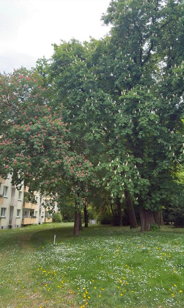 Predaj bytu 2-izbový 70 m², Denninger Str., München, Bavorsko Predaj bytu 2-izbový 70 m², Denninger Str., München, Bavorsko