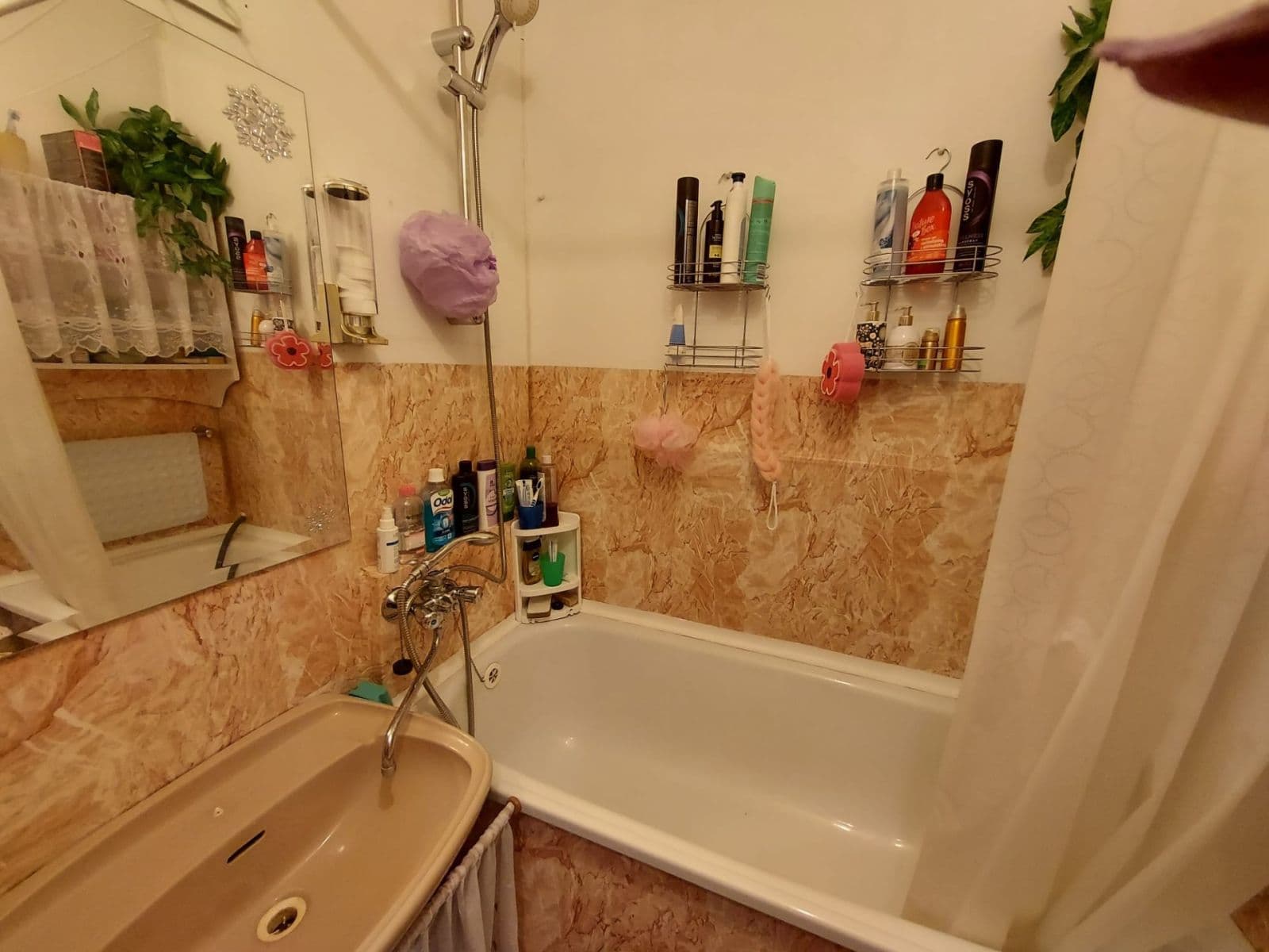 Predaj bytu 2-izbový 54 m², Ervěnická, Jirkov, Ústecký kraj Predaj bytu 2-izbový 54 m², Ervěnická, Jirkov, Ústecký kraj
