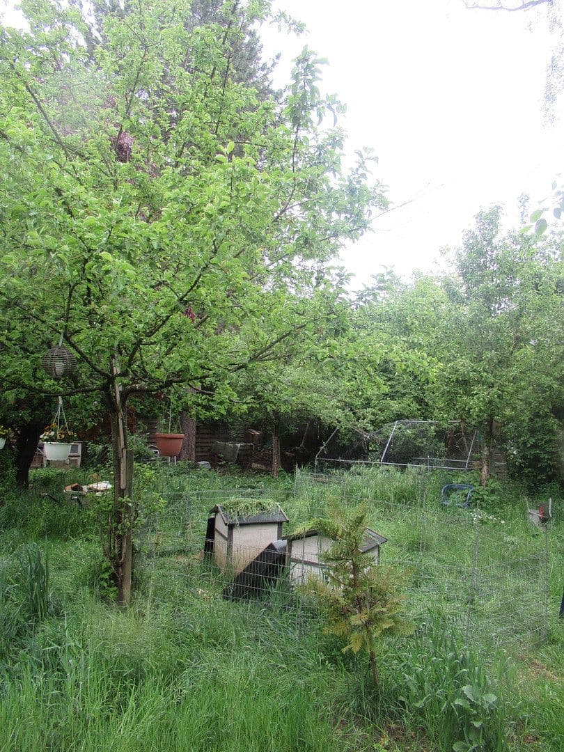 Predaj domu 120 m², pozemek 780 m², München - Thalk.Obersendl.-Forsten-Fürstenr.-Solln, Bavorsko Predaj domu 120 m², pozemek 780 m², München - Thalk.Obersendl.-Forsten-Fürstenr.-Solln, Bavorsko