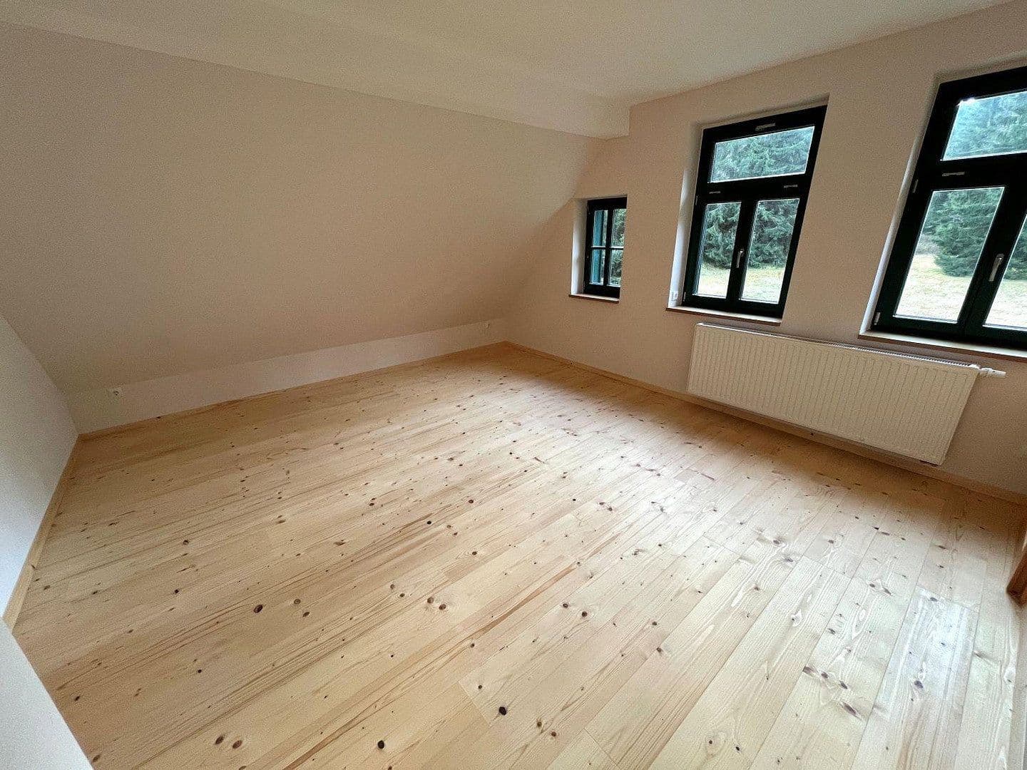 Predaj domu 268 m², pozemek 10.001 m², Eibenstock, Sasko Predaj domu 268 m², pozemek 10.001 m², Eibenstock, Sasko