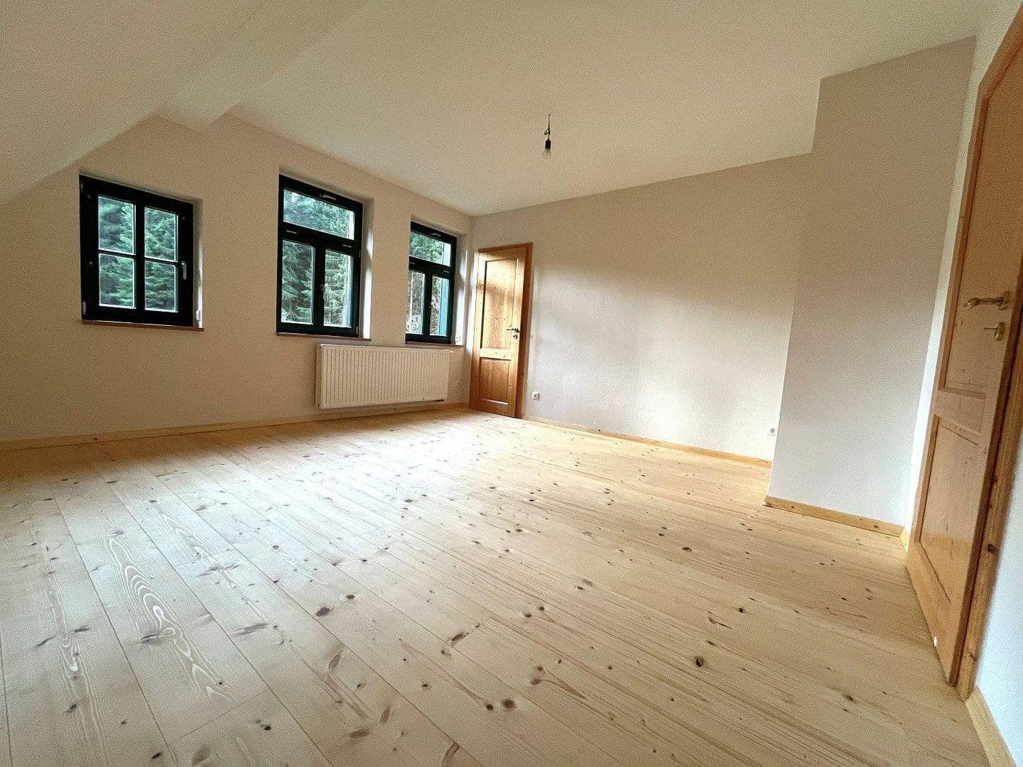 Predaj domu 268 m², pozemek 10.001 m², Eibenstock, Sasko Predaj domu 268 m², pozemek 10.001 m², Eibenstock, Sasko