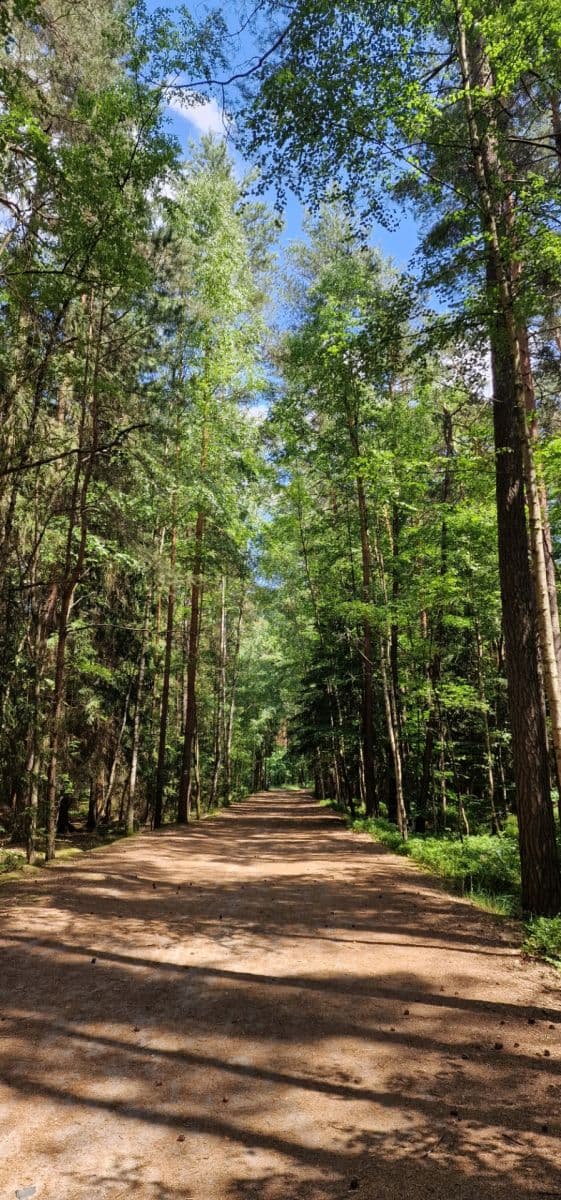 Predaj rekreačného objektu 27 m², pozemek 27 m², 0381, Doksy, Liberecký kraj Predaj rekreačného objektu 27 m², pozemek 27 m², 0381, Doksy, Liberecký kraj