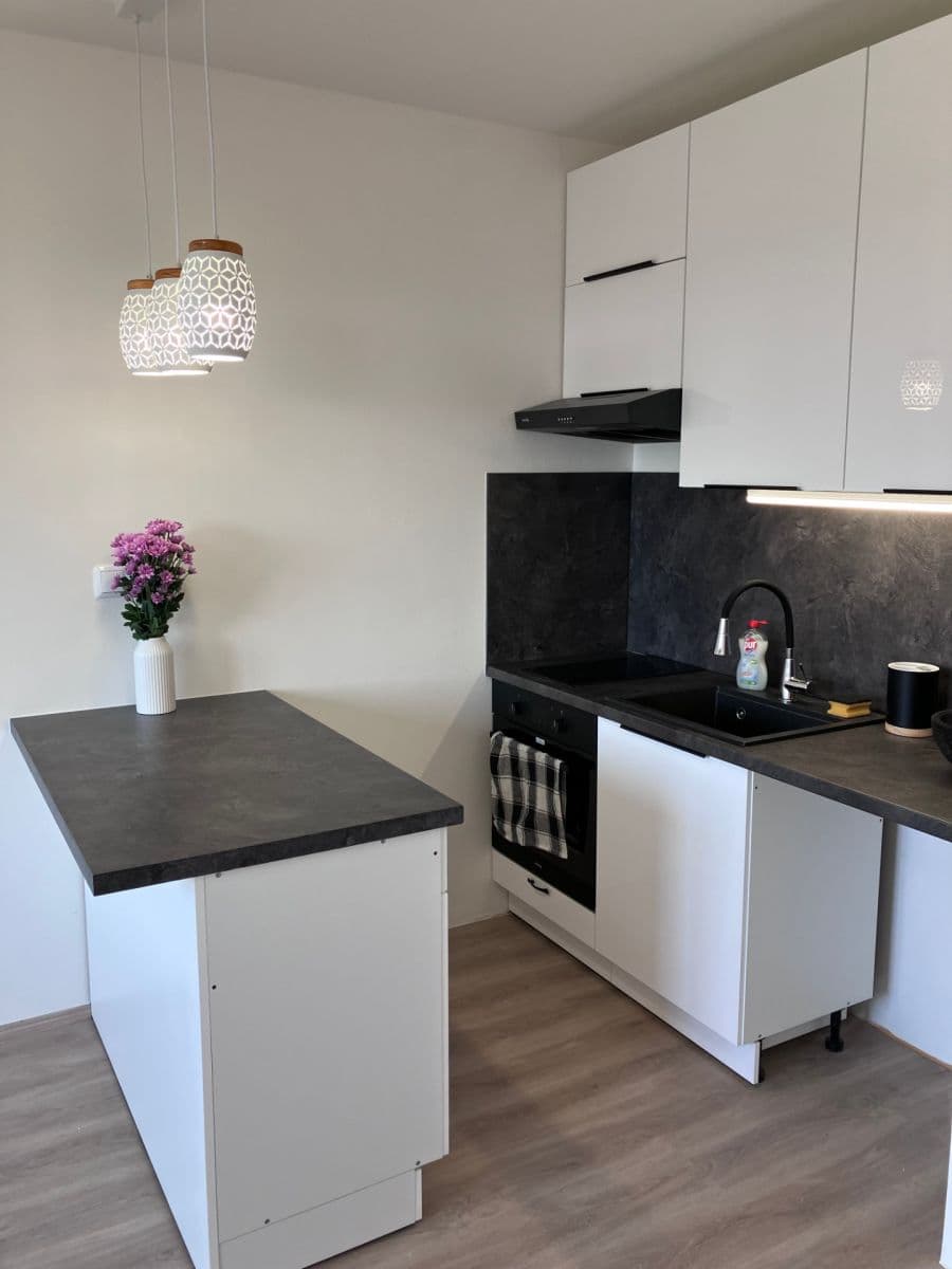 Prenájom bytu 1-izbový 24 m², Přesličková, Praha, Praha Prenájom bytu 1-izbový 24 m², Přesličková, Praha, Praha