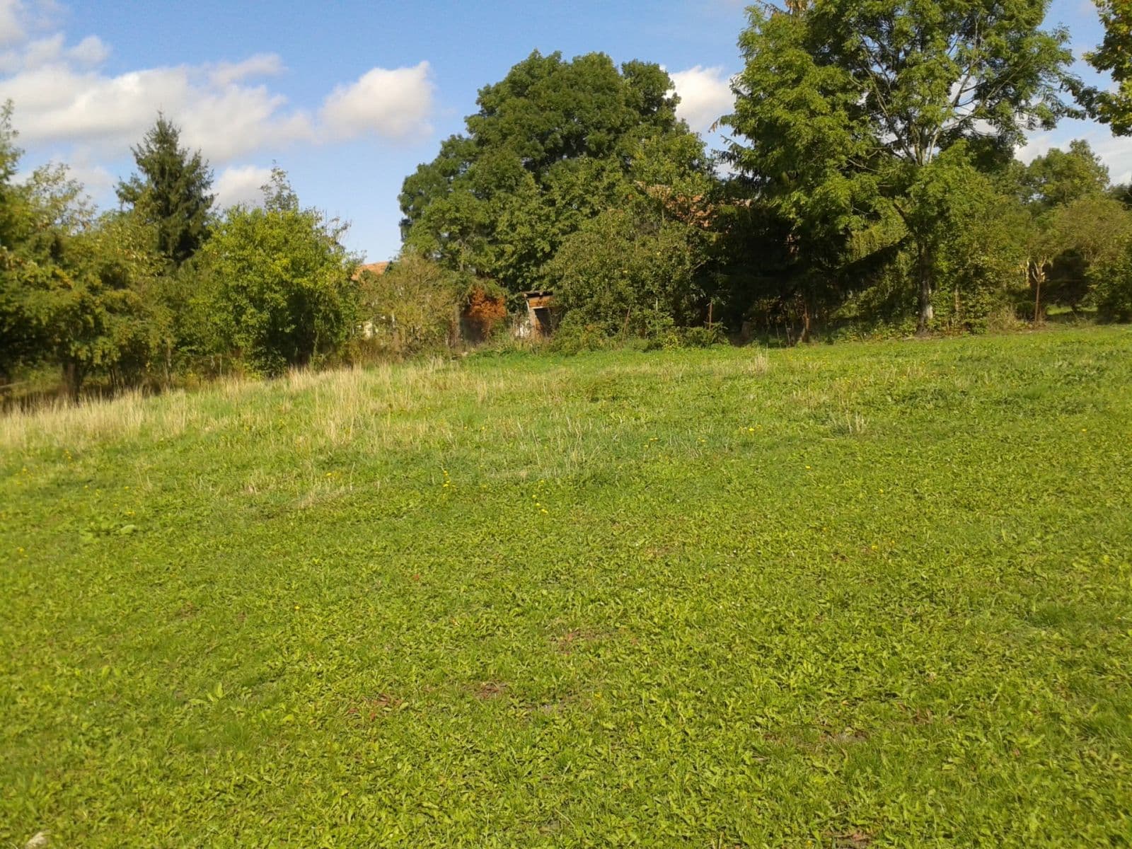 Prenájom pozemku 1.555 m², Městec Králové, Středočeský kraj Prenájom pozemku 1.555 m², Městec Králové, Středočeský kraj