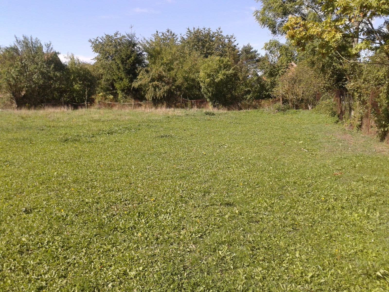 Prenájom pozemku 1.555 m², Městec Králové, Středočeský kraj Prenájom pozemku 1.555 m², Městec Králové, Středočeský kraj