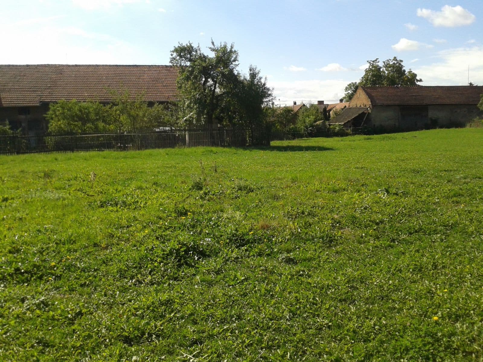Prenájom pozemku 1.555 m², Městec Králové, Středočeský kraj Prenájom pozemku 1.555 m², Městec Králové, Středočeský kraj