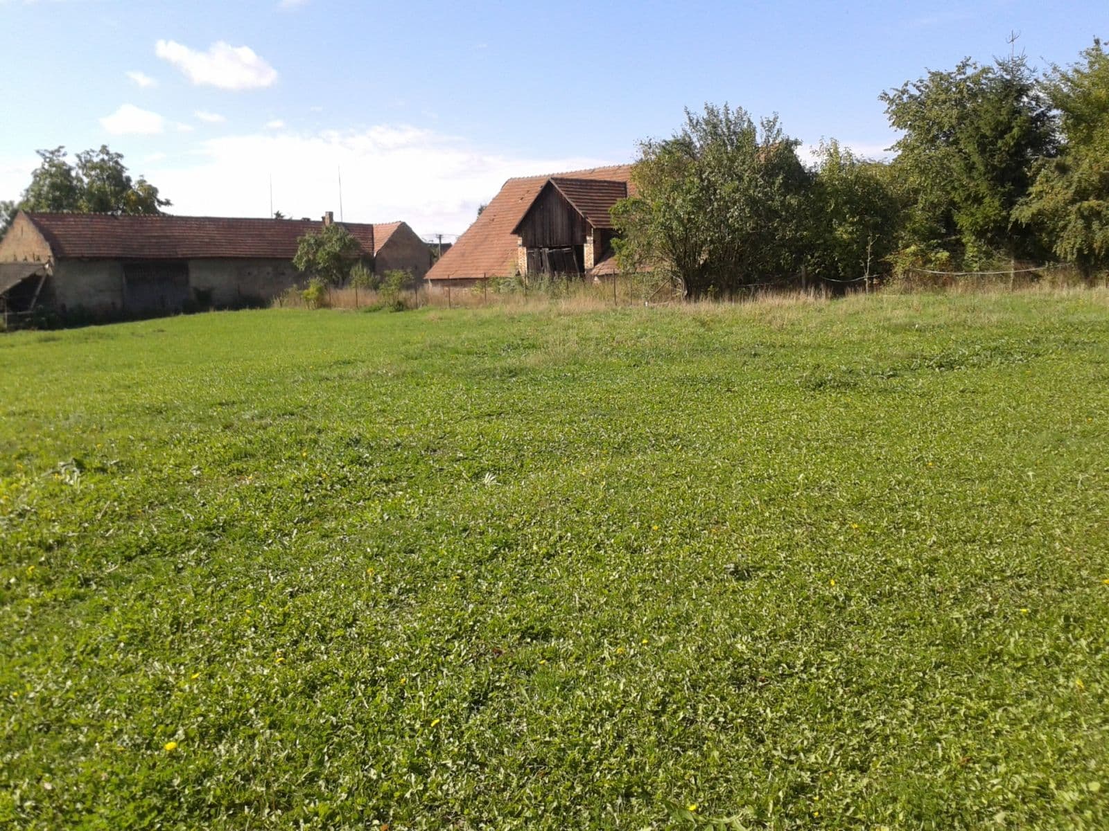 Prenájom pozemku 1.555 m², Městec Králové, Středočeský kraj Prenájom pozemku 1.555 m², Městec Králové, Středočeský kraj