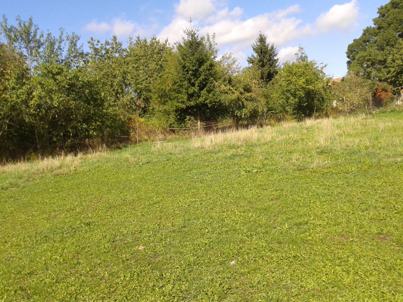 Prenájom pozemku 1.555 m², Městec Králové, Středočeský kraj Prenájom pozemku 1.555 m², Městec Králové, Středočeský kraj