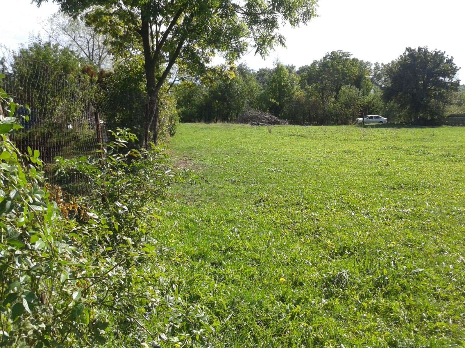 Prenájom pozemku 1.555 m², Městec Králové, Středočeský kraj Prenájom pozemku 1.555 m², Městec Králové, Středočeský kraj