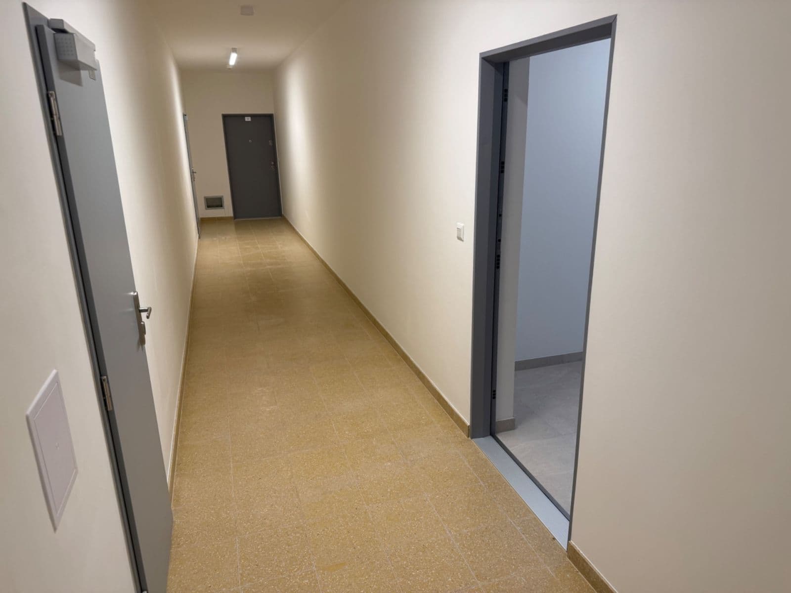 Prenájom bytu 2-izbový 50 m², Řepova, Brno, Jihomoravský kraj Prenájom bytu 2-izbový 50 m², Řepova, Brno, Jihomoravský kraj