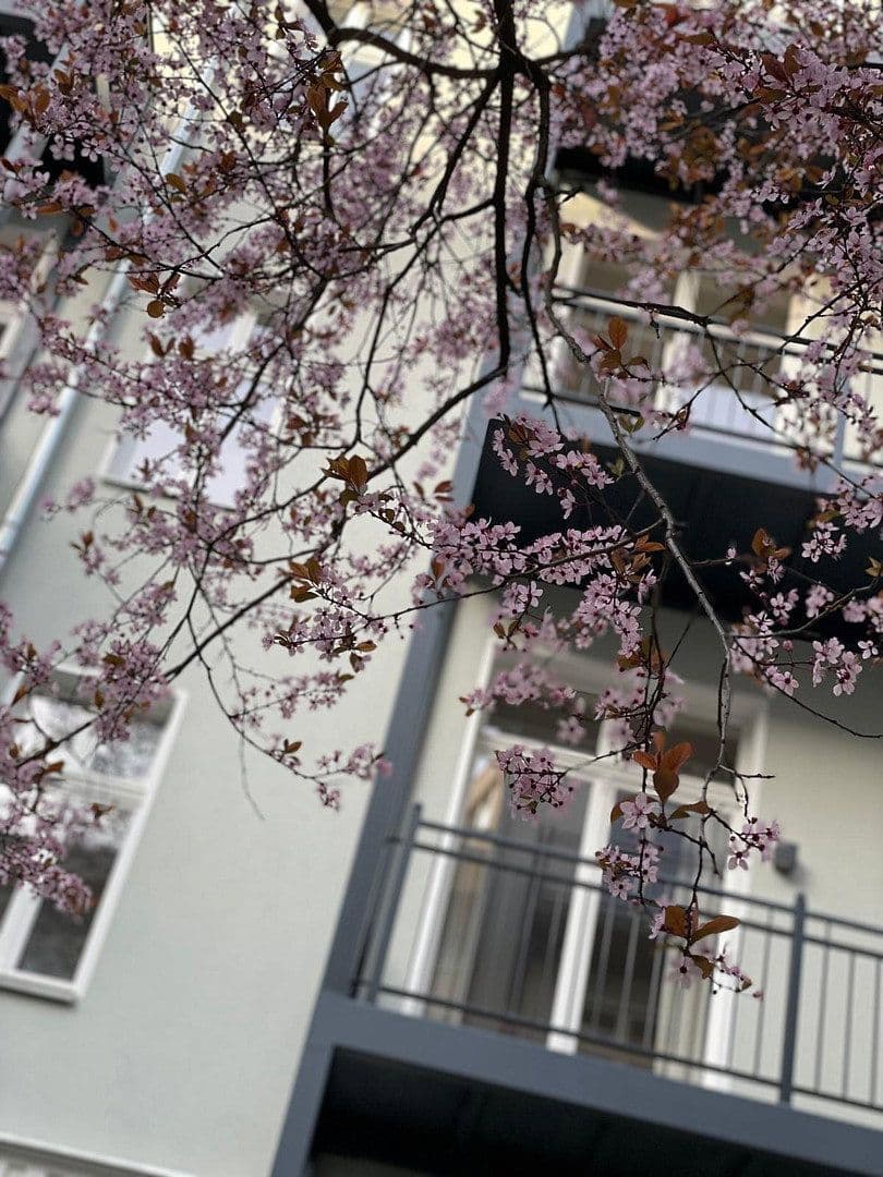 Prenájom bytu 3-izbový 86 m², Schloßstr. 69, Berlin, Berlín Prenájom bytu 3-izbový 86 m², Schloßstr. 69, Berlin, Berlín
