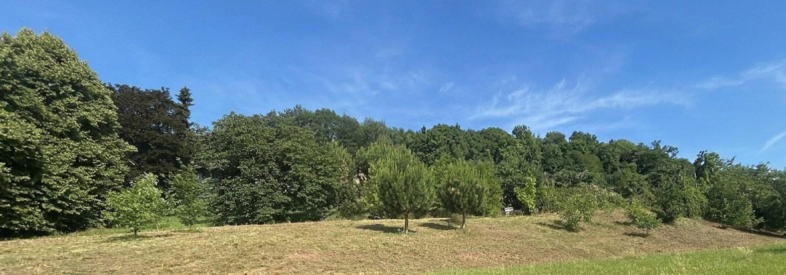 Predaj domu 180 m², pozemek 1.952 m², Gaggenau, Bádensko-Wurttembersko Predaj domu 180 m², pozemek 1.952 m², Gaggenau, Bádensko-Wurttembersko