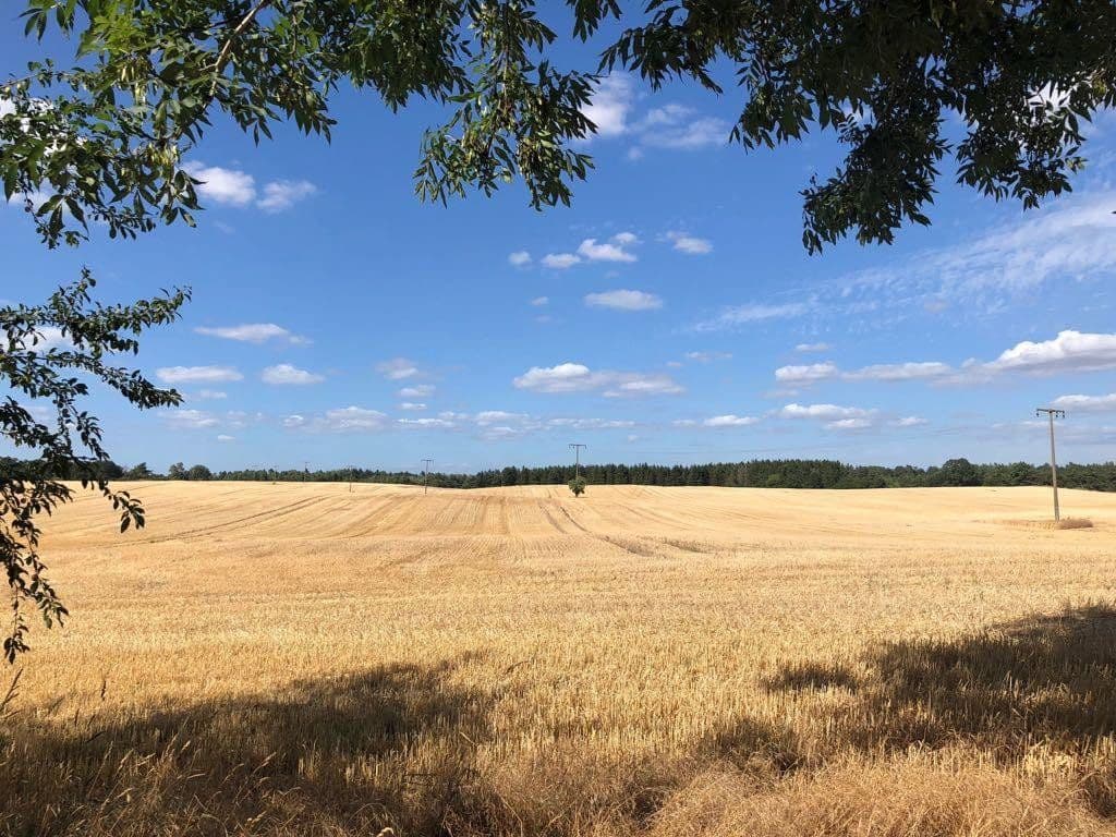 Predaj domu 145 m², pozemek 904 m², Gnevkow, Meklenbursko-Predpomoransko Predaj domu 145 m², pozemek 904 m², Gnevkow, Meklenbursko-Predpomoransko