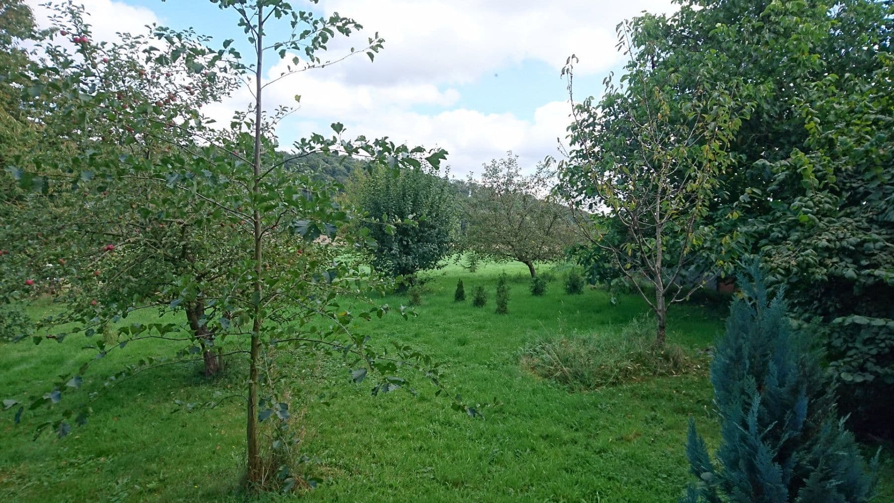 Predaj domu 390 m², pozemek 5.550 m², Alfeld (Leine), Dolné Sasko Predaj domu 390 m², pozemek 5.550 m², Alfeld (Leine), Dolné Sasko