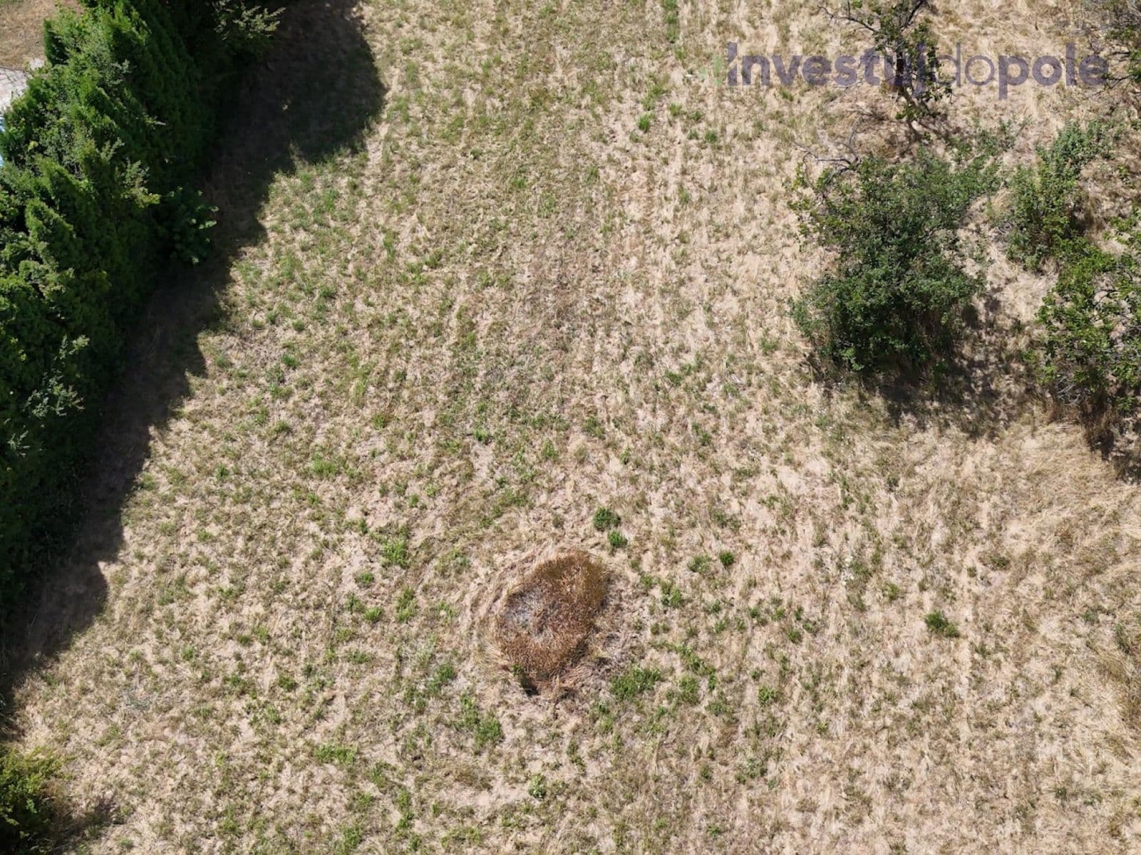 Predaj pozemku 2.428 m², Vojkovice, Jihomoravský kraj Predaj pozemku 2.428 m², Vojkovice, Jihomoravský kraj