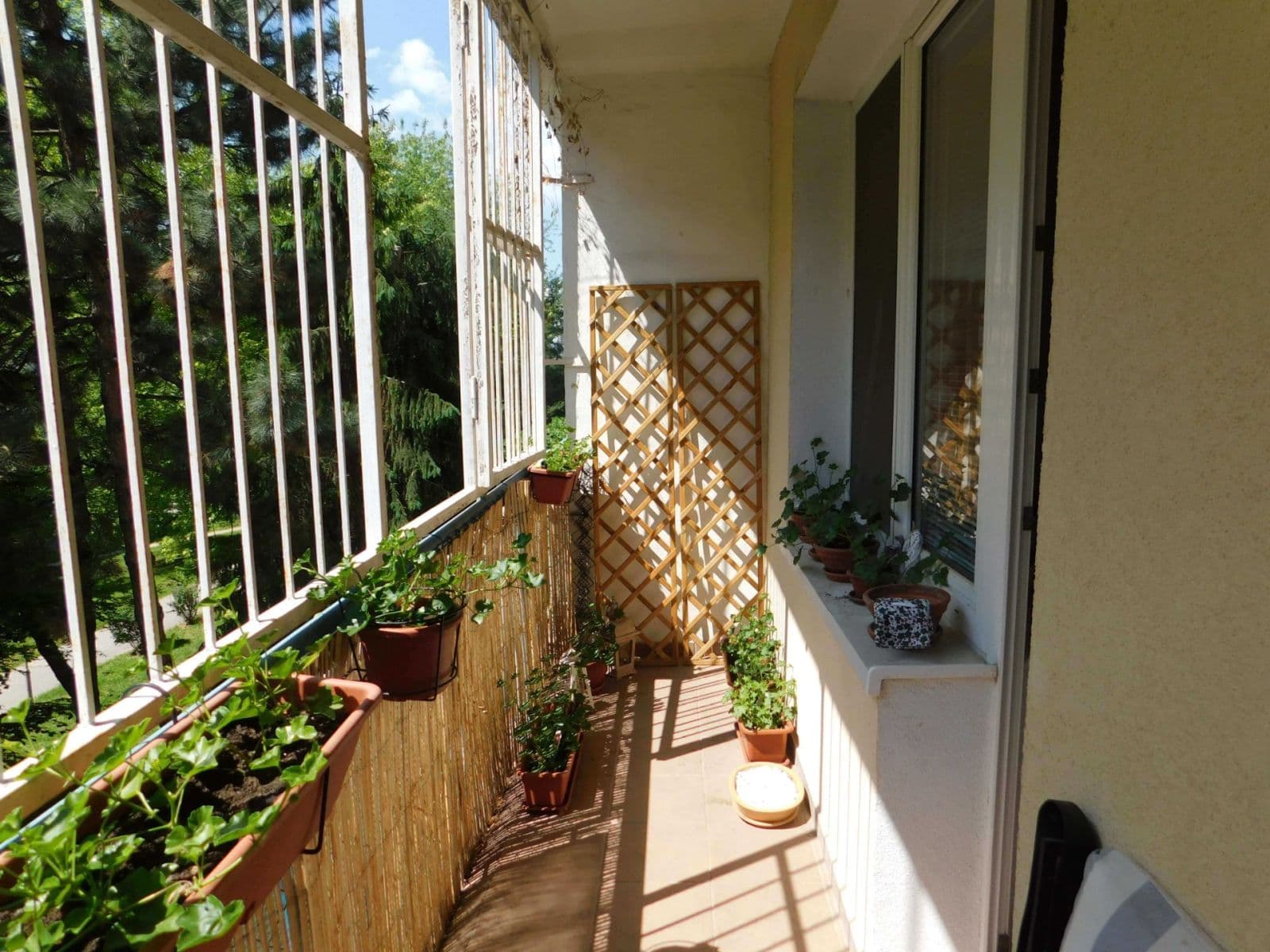 Prenájom bytu 2-izbový 50 m², Astrová, Ružinov, Bratislavský kraj Prenájom bytu 2-izbový 50 m², Astrová, Ružinov, Bratislavský kraj
