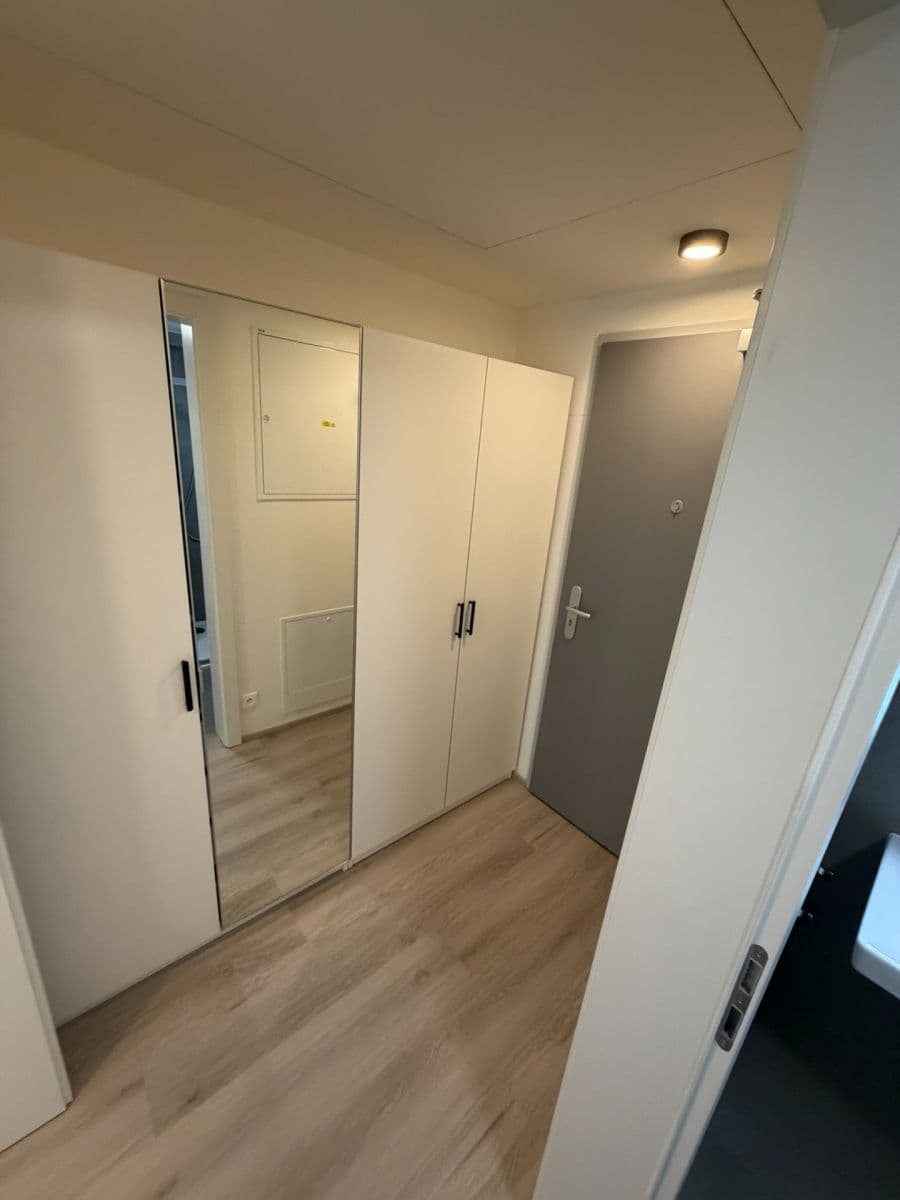 Prenájom bytu 1-izbový 31 m², Bystrcká, Brno, Jihomoravský kraj Prenájom bytu 1-izbový 31 m², Bystrcká, Brno, Jihomoravský kraj