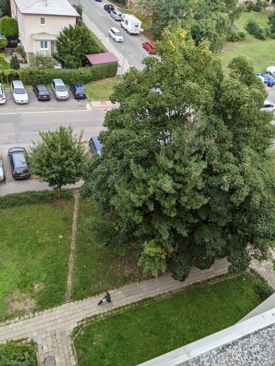 Prenájom bytu 2-izbový 57 m², kpt. Jaroše, Olomouc, Olomoucký kraj Prenájom bytu 2-izbový 57 m², kpt. Jaroše, Olomouc, Olomoucký kraj