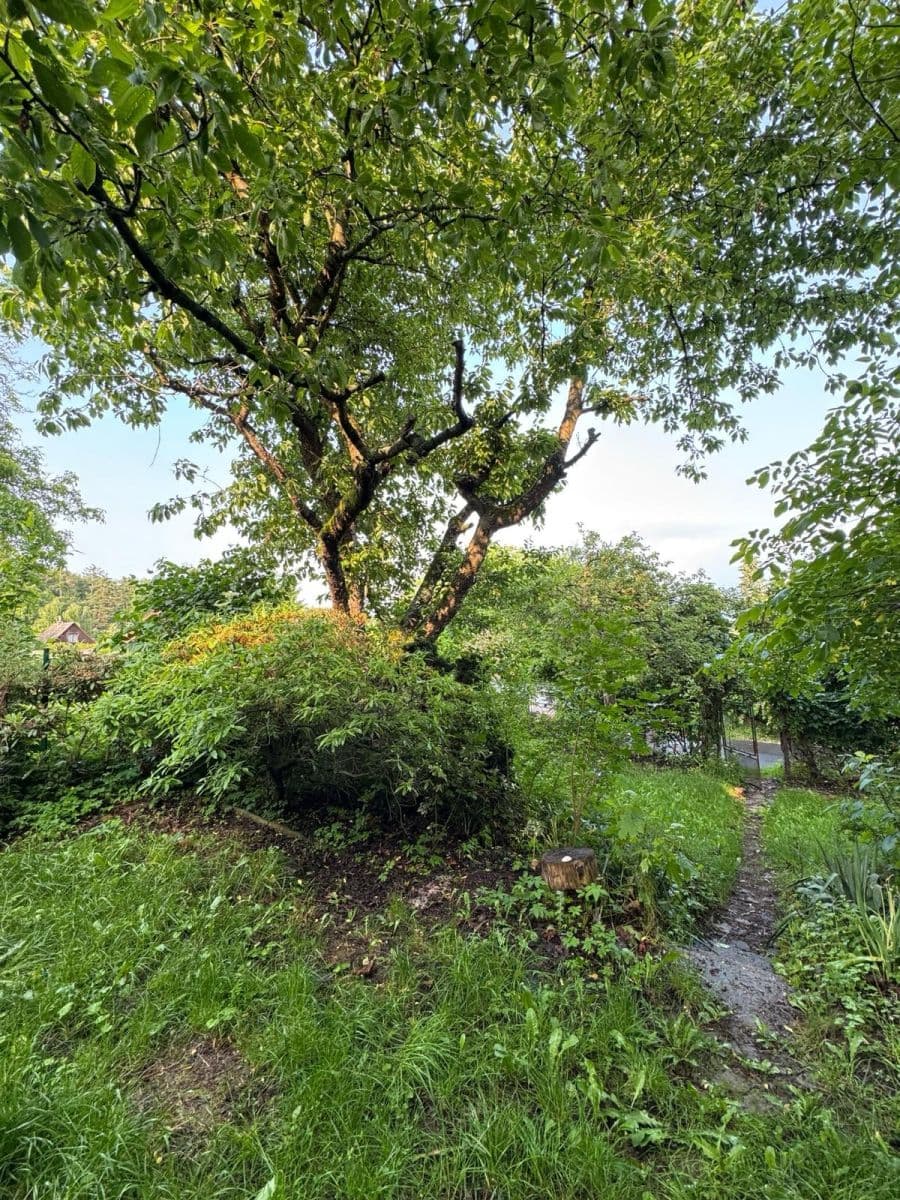 Predaj pozemku 304 m², Černolice, Středočeský kraj Predaj pozemku 304 m², Černolice, Středočeský kraj