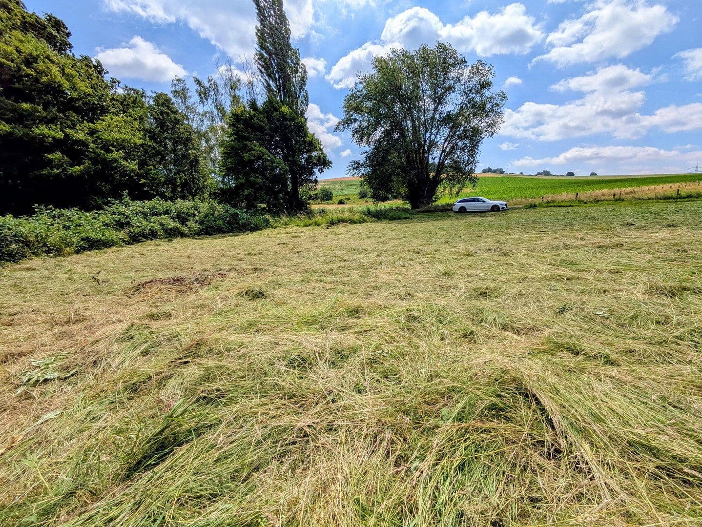 Predaj pozemku 9.037 m², Rodenberg, Dolné Sasko Predaj pozemku 9.037 m², Rodenberg, Dolné Sasko