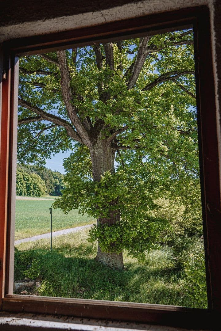 Predaj domu 333 m², pozemek 1.053 m², Am Aichbach, Niederaichbach, Bavorsko Predaj domu 333 m², pozemek 1.053 m², Am Aichbach, Niederaichbach, Bavorsko