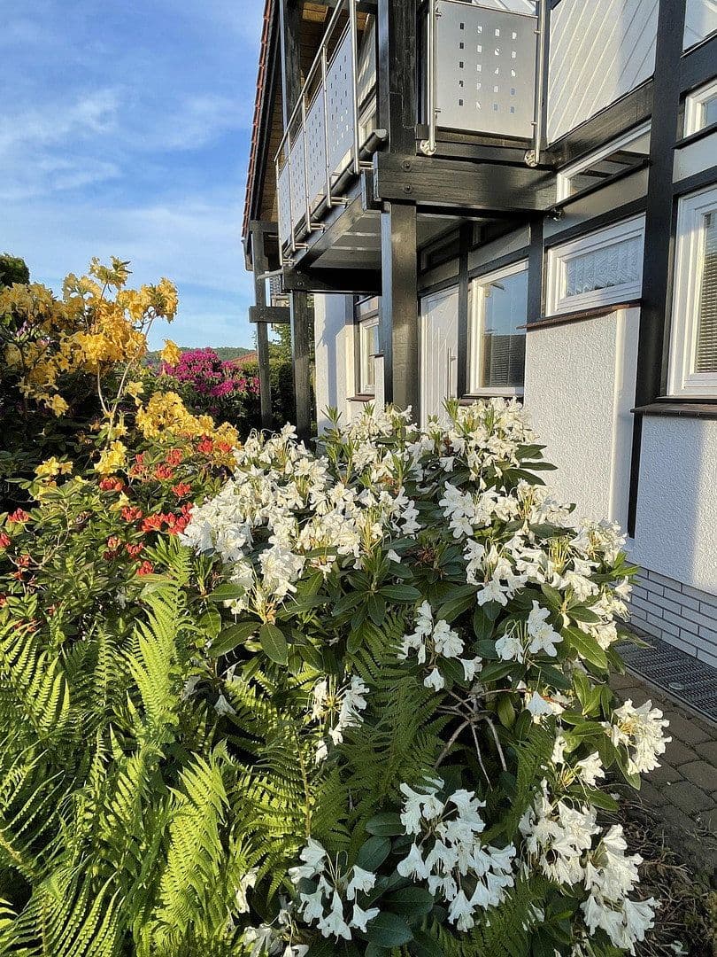 Predaj domu 263 m², pozemek 1.748 m², Altenstadt, Hesensko Predaj domu 263 m², pozemek 1.748 m², Altenstadt, Hesensko