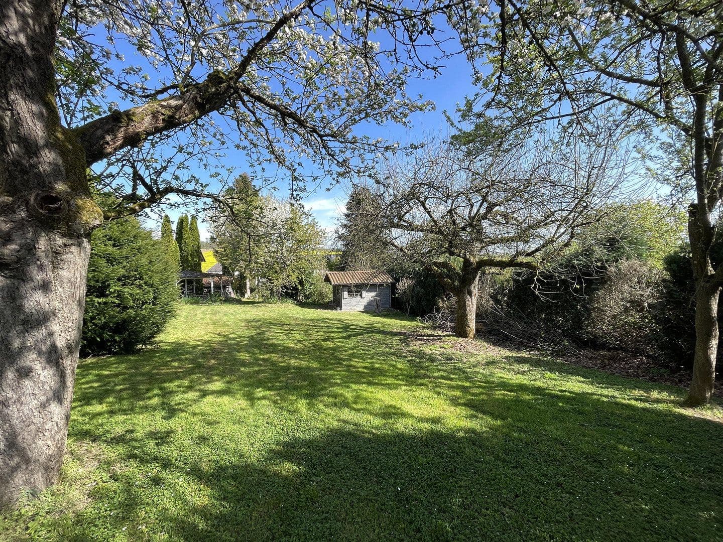 Predaj domu 263 m², pozemek 1.748 m², Altenstadt, Hesensko Predaj domu 263 m², pozemek 1.748 m², Altenstadt, Hesensko