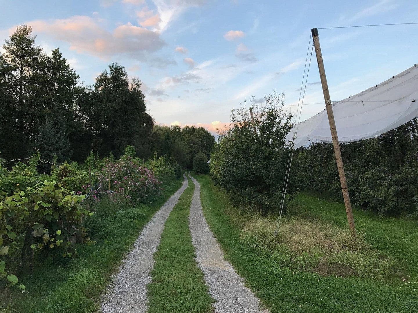 Predaj bytu 4-izbový 102 m², Sonnenweg 2 / 1, Eriskirch, Bádensko-Wurttembersko Predaj bytu 4-izbový 102 m², Sonnenweg 2 / 1, Eriskirch, Bádensko-Wurttembersko
