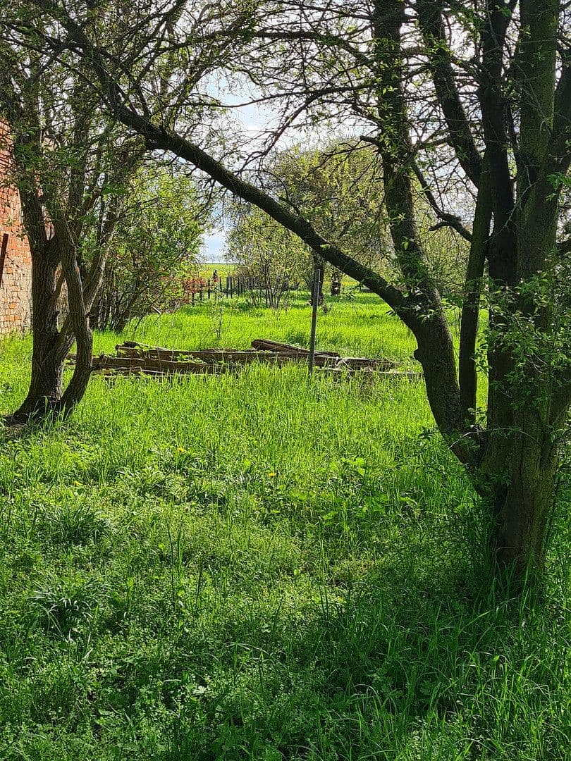 Predaj pozemku 1.900 m², Pobziger Hauptstraße 25, Nienburg (Saale), Sasko-Anhaltsko Predaj pozemku 1.900 m², Pobziger Hauptstraße 25, Nienburg (Saale), Sasko-Anhaltsko