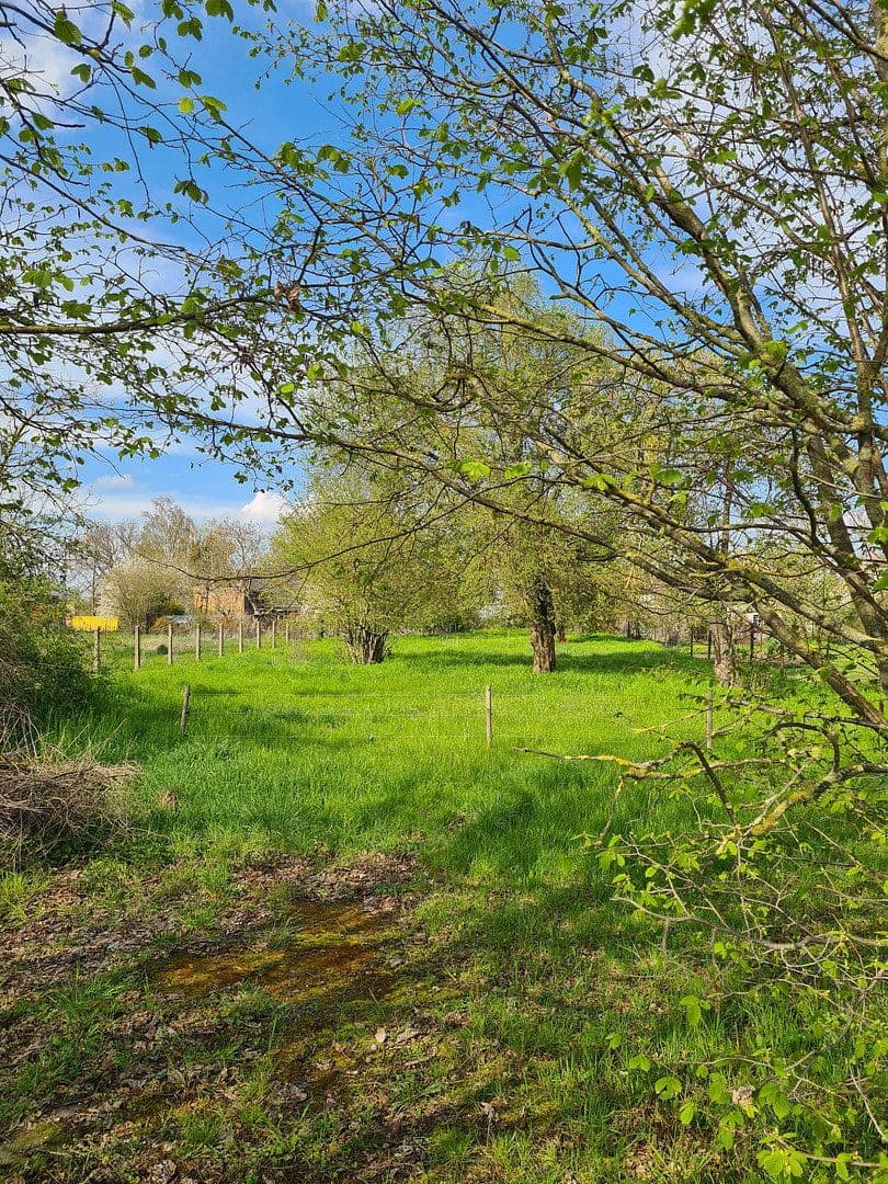 Predaj pozemku 1.900 m², Pobziger Hauptstraße 25, Nienburg (Saale), Sasko-Anhaltsko Predaj pozemku 1.900 m², Pobziger Hauptstraße 25, Nienburg (Saale), Sasko-Anhaltsko