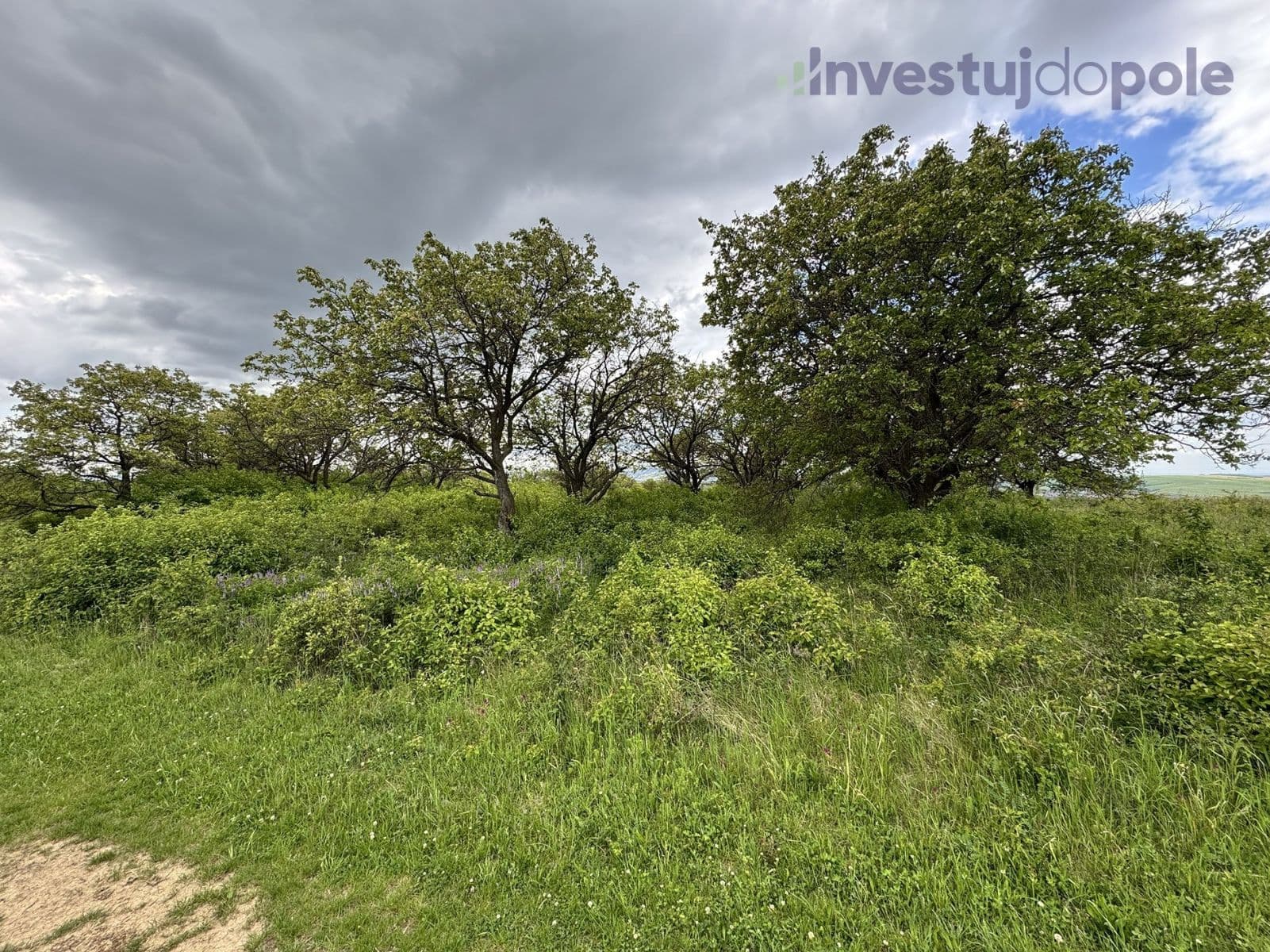 Predaj pozemku 14.274 m², Hustopeče, Jihomoravský kraj Predaj pozemku 14.274 m², Hustopeče, Jihomoravský kraj