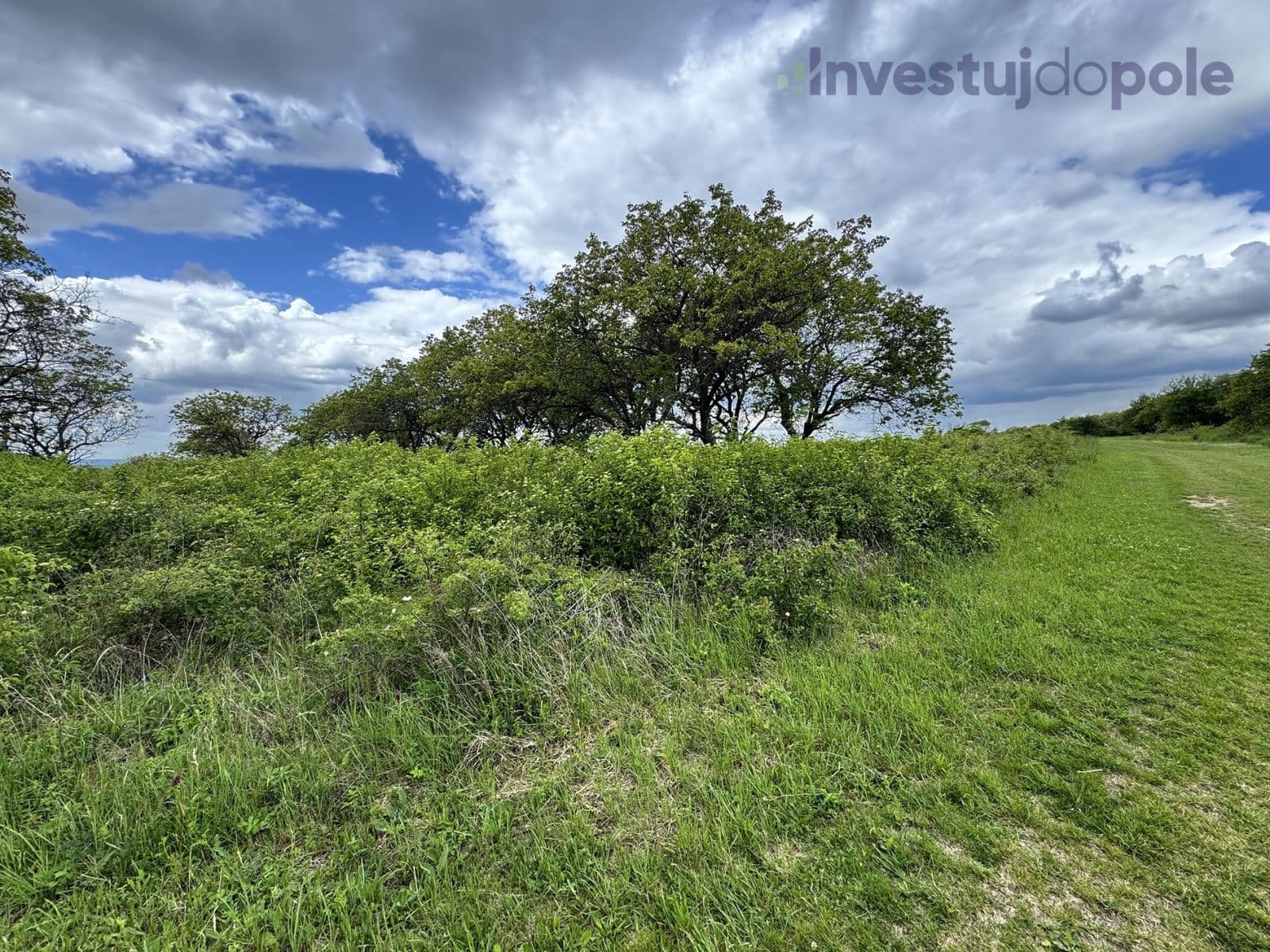 Predaj pozemku 14.274 m², Hustopeče, Jihomoravský kraj Predaj pozemku 14.274 m², Hustopeče, Jihomoravský kraj