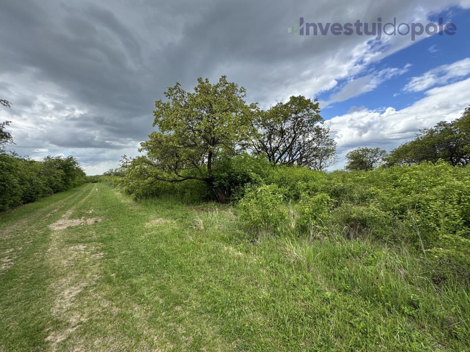 Predaj pozemku 14.274 m², Hustopeče, Jihomoravský kraj Predaj pozemku 14.274 m², Hustopeče, Jihomoravský kraj