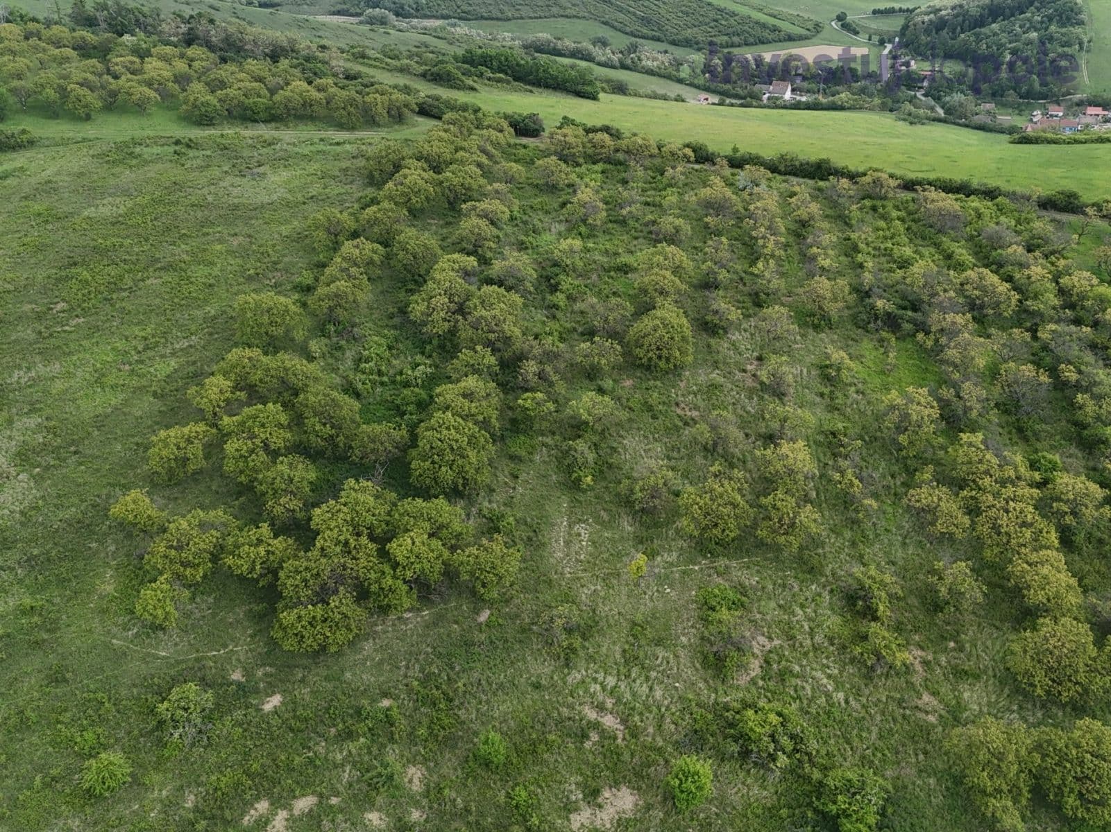 Predaj pozemku 14.274 m², Hustopeče, Jihomoravský kraj Predaj pozemku 14.274 m², Hustopeče, Jihomoravský kraj