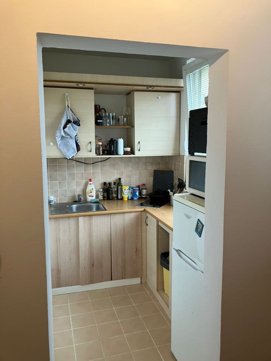 Prenájom bytu 1-izbový 32 m², Benkova, Praha, Praha Prenájom bytu 1-izbový 32 m², Benkova, Praha, Praha