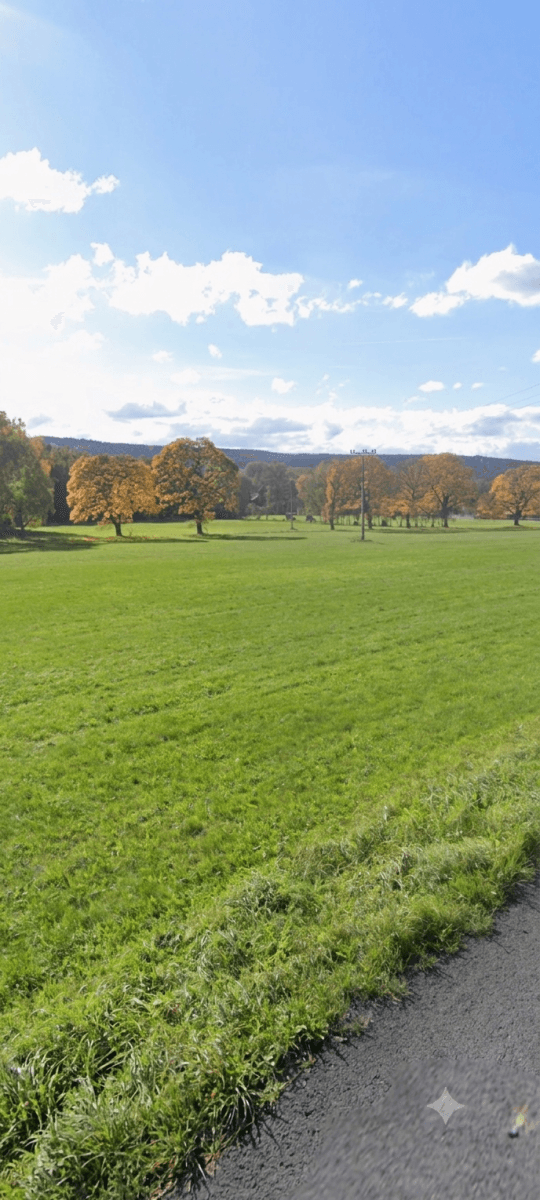 Predaj pozemku 3.613 m², Jindřichovice pod Smrkem, Liberecký kraj Predaj pozemku 3.613 m², Jindřichovice pod Smrkem, Liberecký kraj
