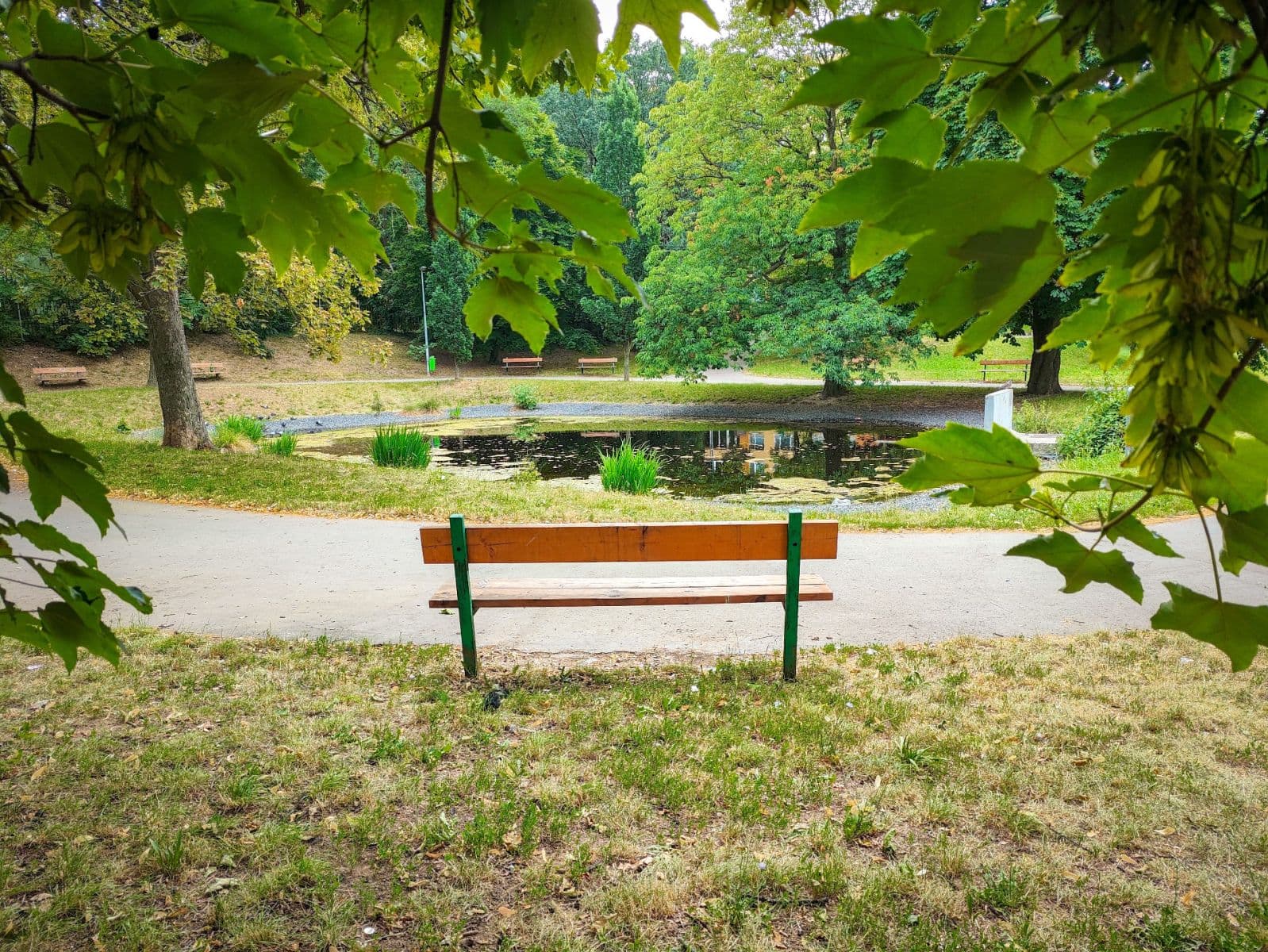 Prenájom bytu 1-izbový 25 m², Střížkovská, Praha, Praha Prenájom bytu 1-izbový 25 m², Střížkovská, Praha, Praha