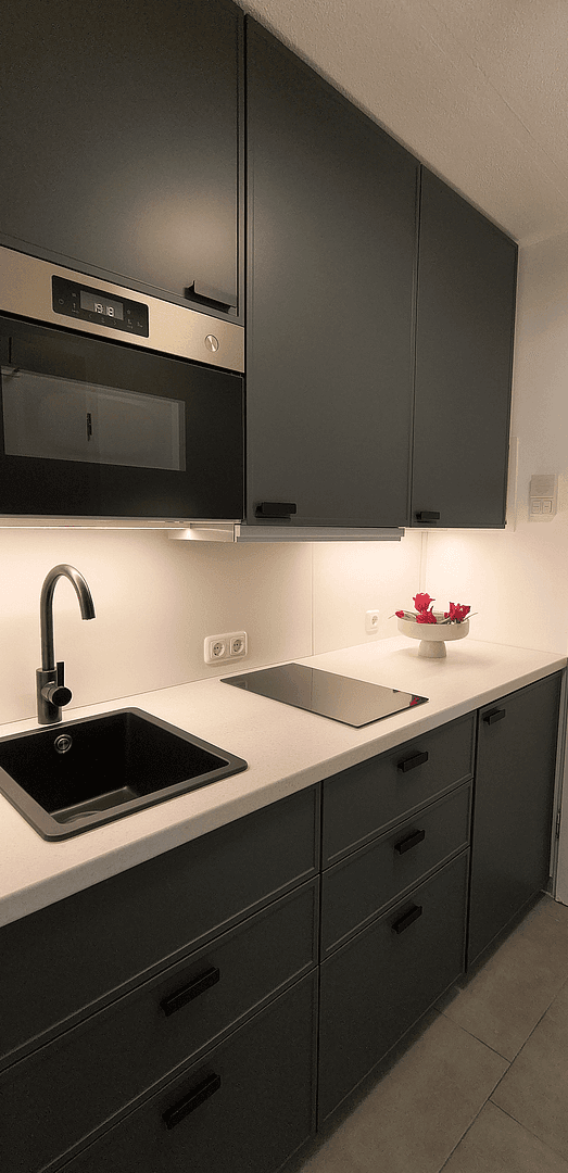Prenájom bytu 1-izbový 21 m², Regensburg, Bavorsko Prenájom bytu 1-izbový 21 m², Regensburg, Bavorsko