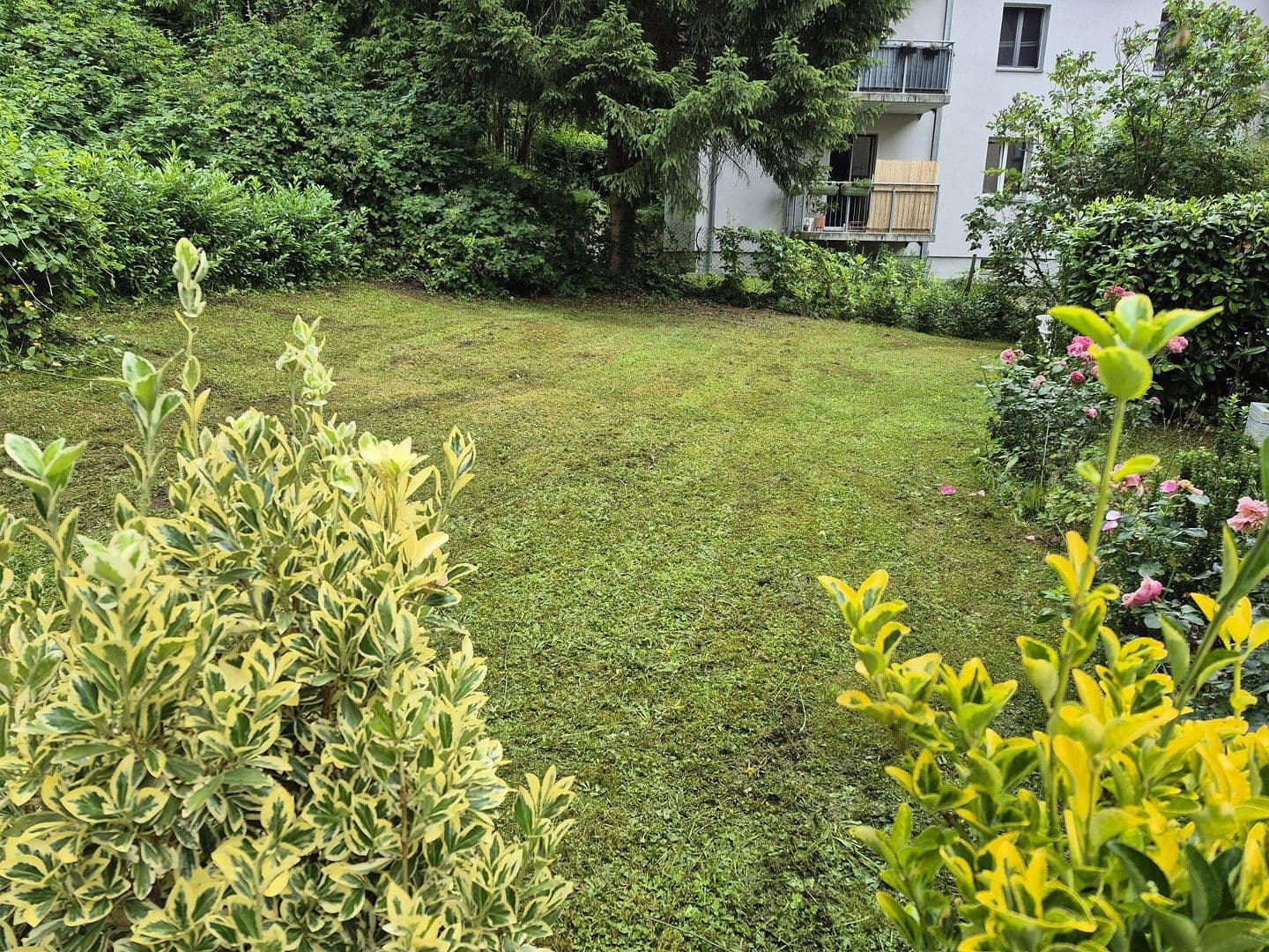 Prenájom bytu 3-izbový 80 m², Dresden, Sasko Prenájom bytu 3-izbový 80 m², Dresden, Sasko