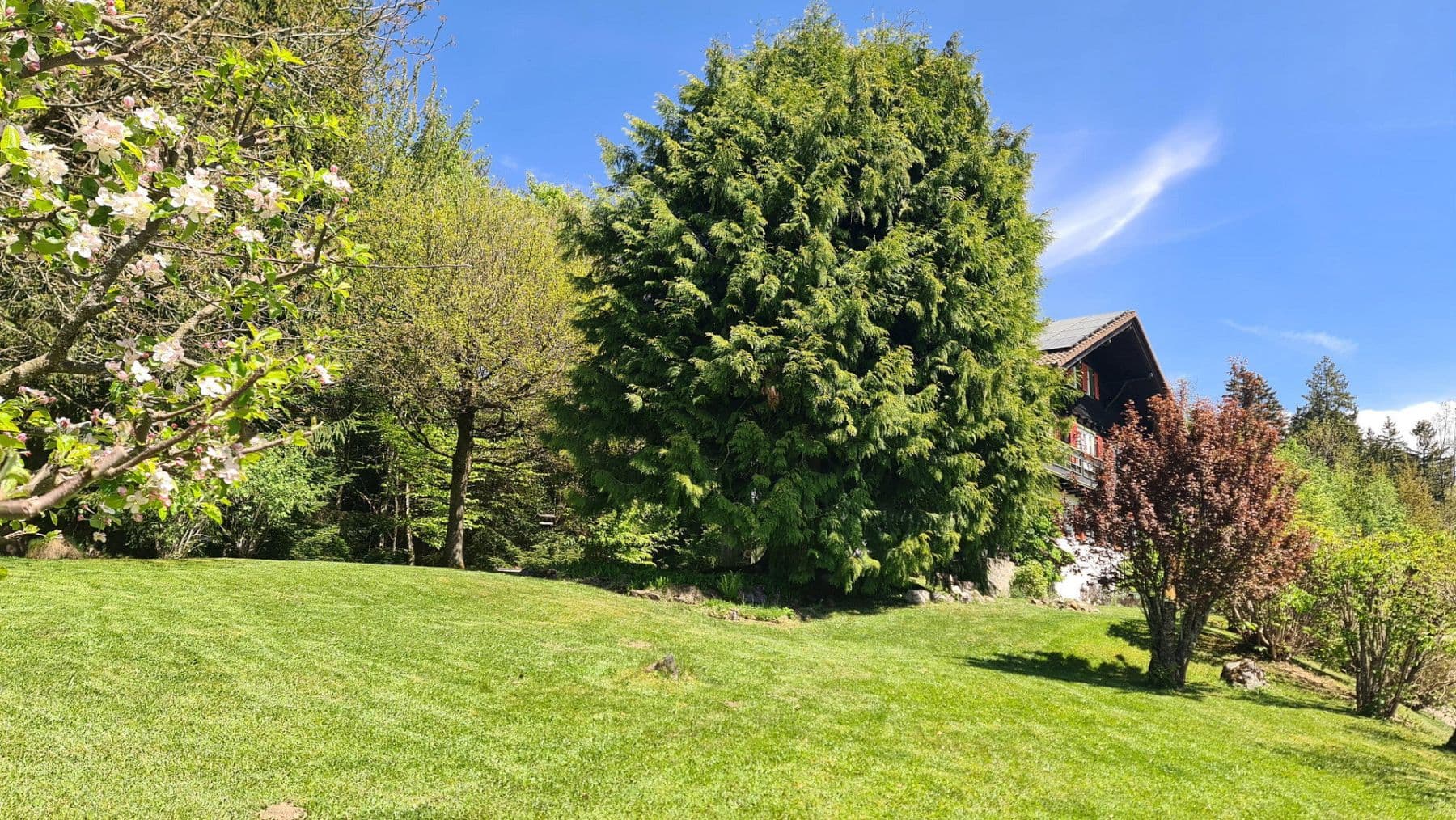 Predaj domu 240 m², pozemok 1.200 m², Lindenberg im Allgäu, Bavorsko Predaj domu 240 m², pozemok 1.200 m², Lindenberg im Allgäu, Bavorsko
