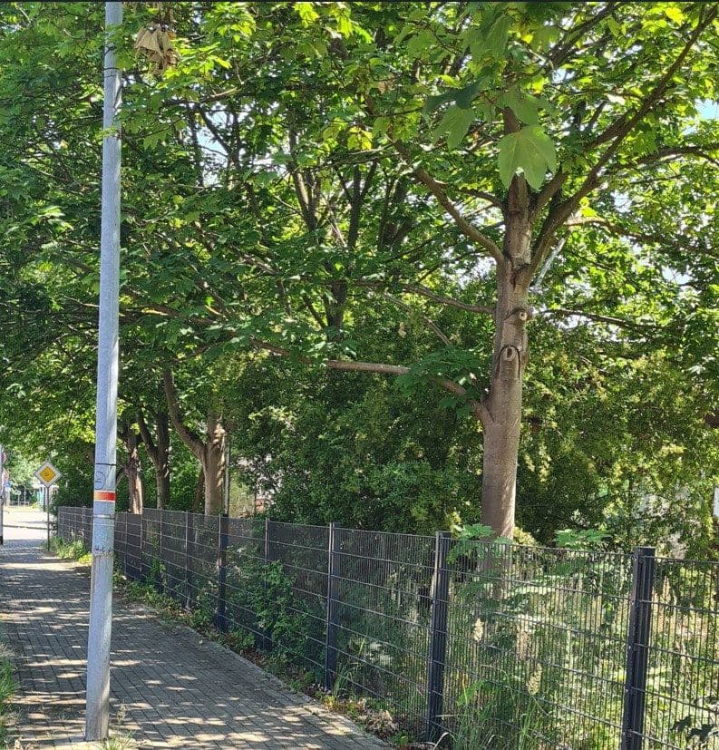 Predaj pozemku 2.220 m², Fichtestraße 34, Genthin, Sasko-Anhaltsko Predaj pozemku 2.220 m², Fichtestraße 34, Genthin, Sasko-Anhaltsko
