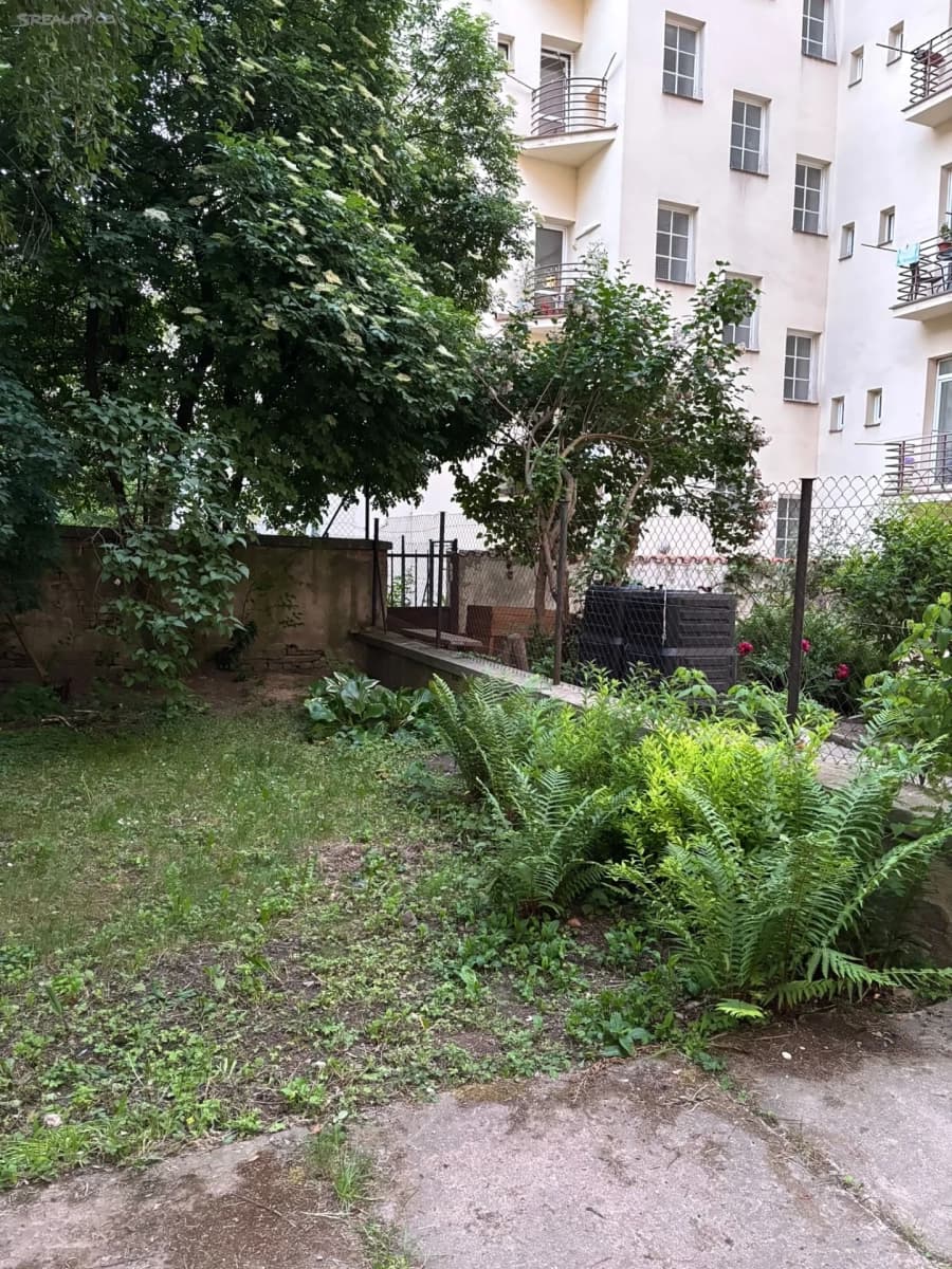 Predaj nebytového priestoru 41 m², Kotlářská, Brno, Jihomoravský kraj Predaj nebytového priestoru 41 m², Kotlářská, Brno, Jihomoravský kraj