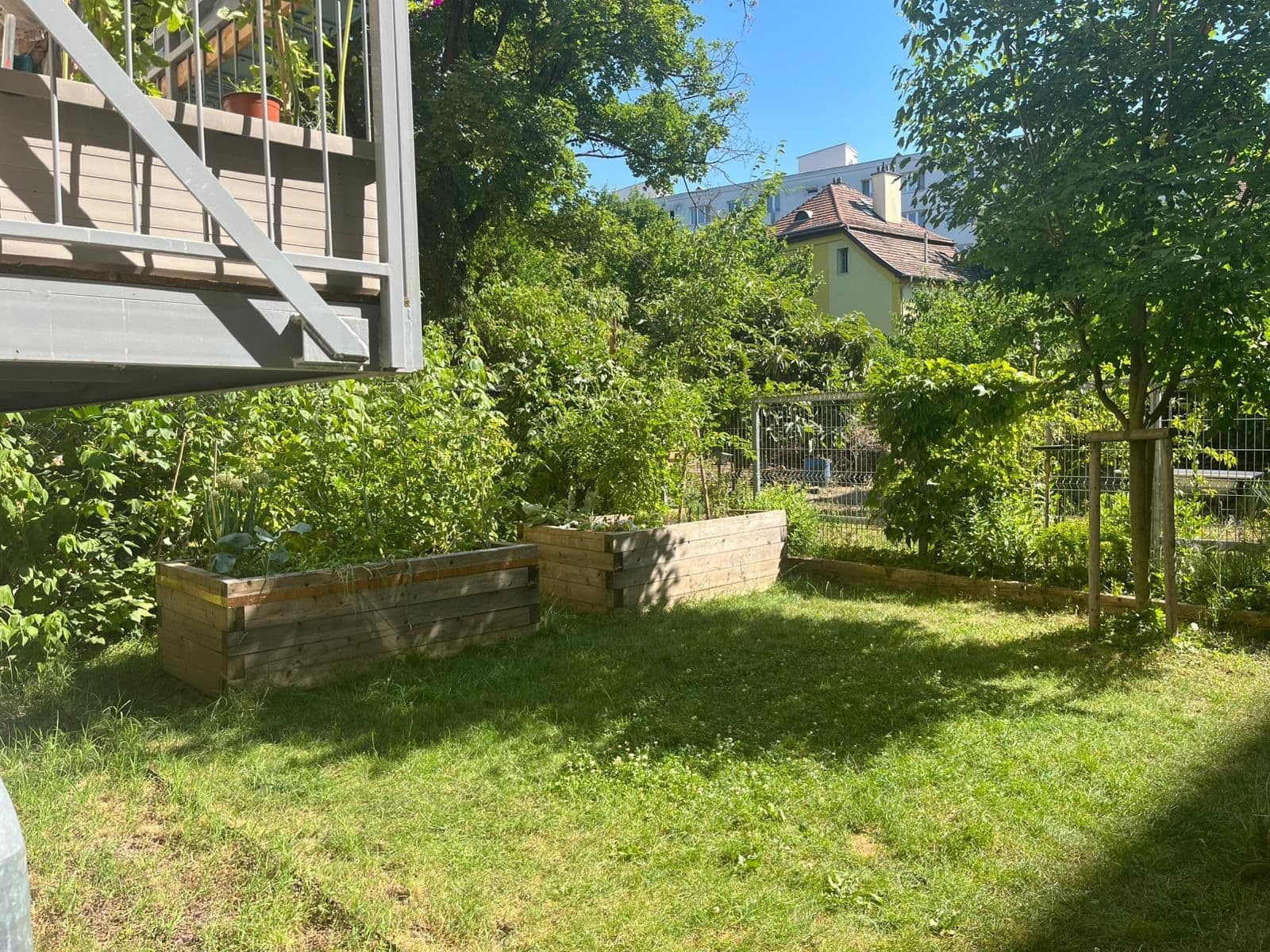 Prenájom bytu 2-izbový 70 m², Zborovská, Brno, Jihomoravský kraj Prenájom bytu 2-izbový 70 m², Zborovská, Brno, Jihomoravský kraj