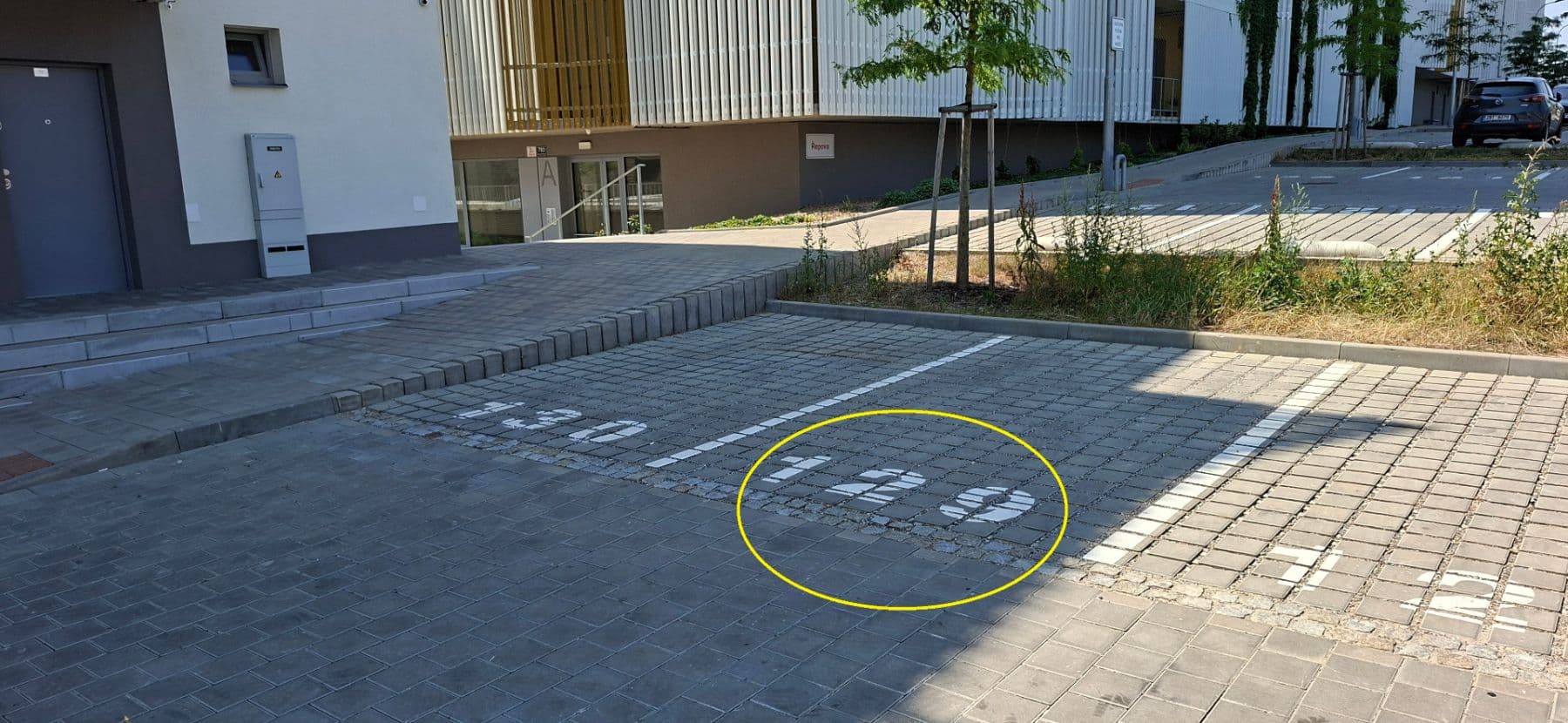 Prenájom bytu 1-izbový 31 m², Řepova, Brno, Jihomoravský kraj Prenájom bytu 1-izbový 31 m², Řepova, Brno, Jihomoravský kraj
