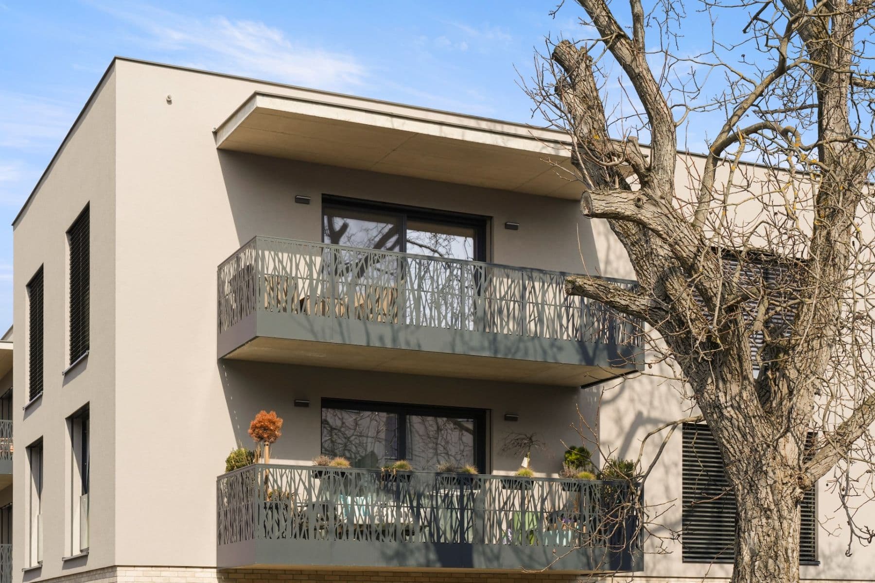 Predaj bytu 2-izbový 65 m², Jílkova, Brno, Jihomoravský kraj Predaj bytu 2-izbový 65 m², Jílkova, Brno, Jihomoravský kraj