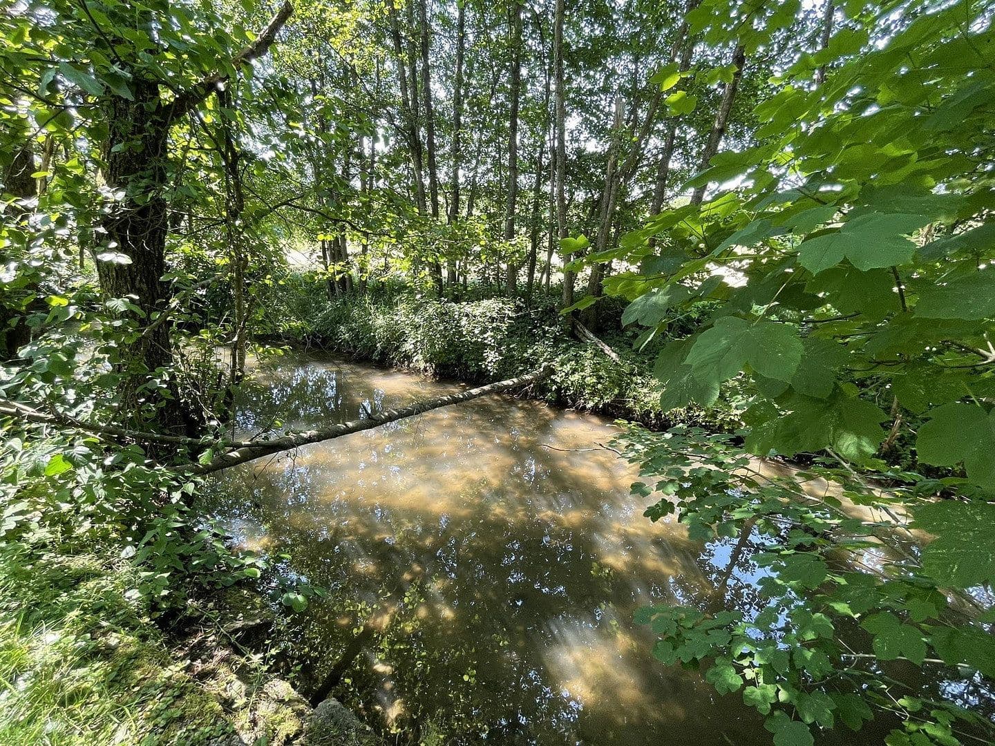Predaj domu 160 m², pozemok 7.296 m², Gerolstein, Porýnie-Falcko Predaj domu 160 m², pozemok 7.296 m², Gerolstein, Porýnie-Falcko