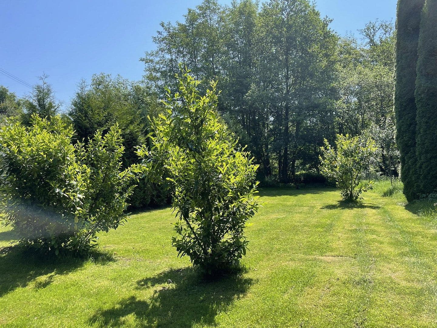 Predaj domu 160 m², pozemok 7.296 m², Gerolstein, Porýnie-Falcko Predaj domu 160 m², pozemok 7.296 m², Gerolstein, Porýnie-Falcko