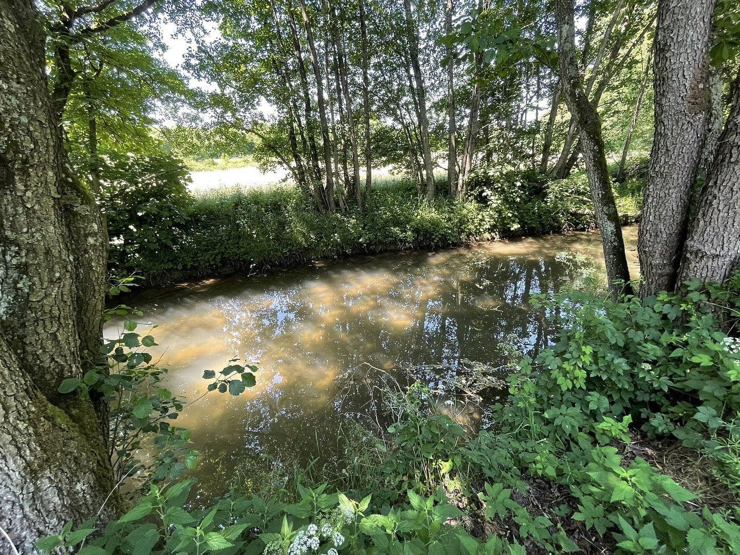 Predaj domu 160 m², pozemok 7.296 m², Gerolstein, Porýnie-Falcko Predaj domu 160 m², pozemok 7.296 m², Gerolstein, Porýnie-Falcko