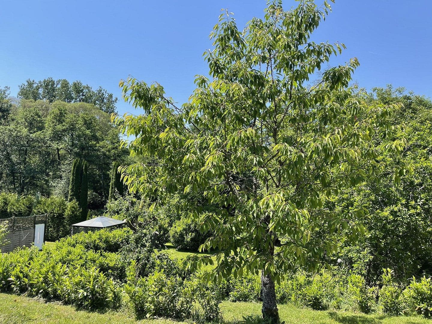 Predaj domu 160 m², pozemok 7.296 m², Gerolstein, Porýnie-Falcko Predaj domu 160 m², pozemok 7.296 m², Gerolstein, Porýnie-Falcko